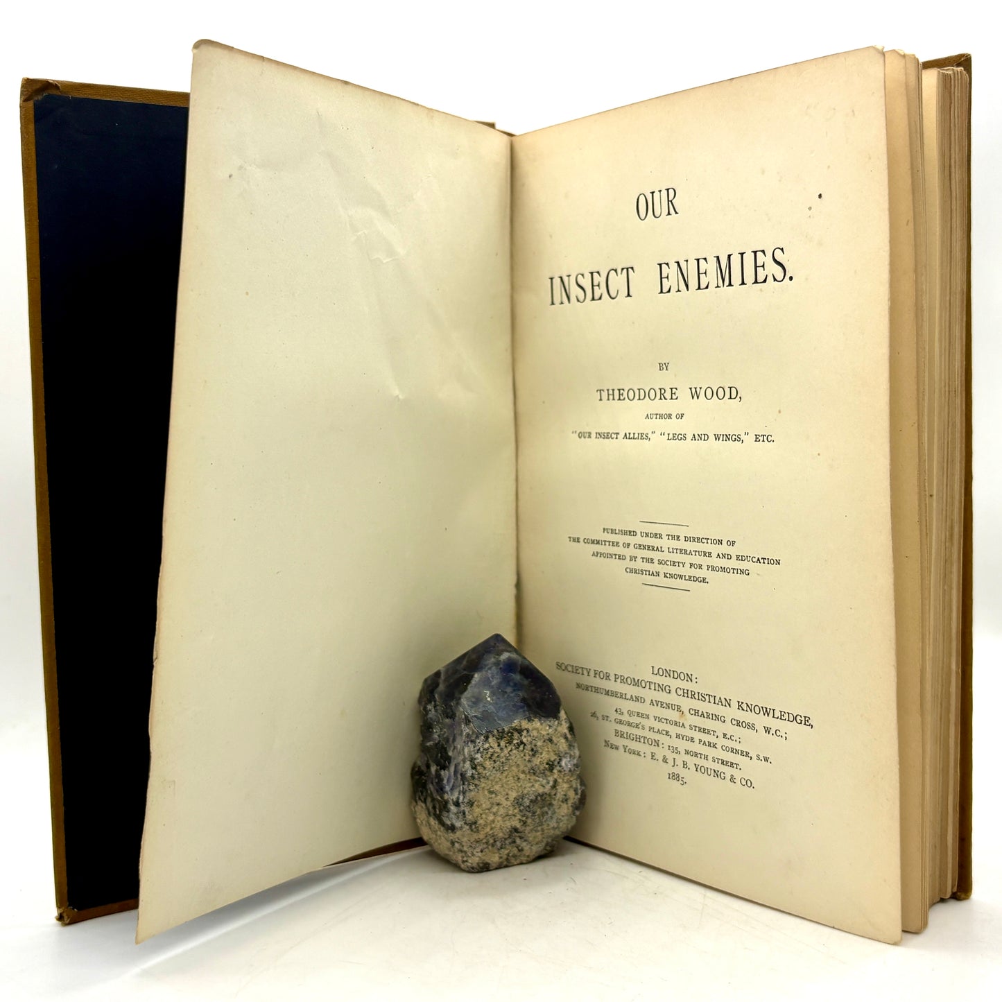 WOOD, Theodore “Our Insect Allies" & "Our Insect Enemies” [1884–1885]