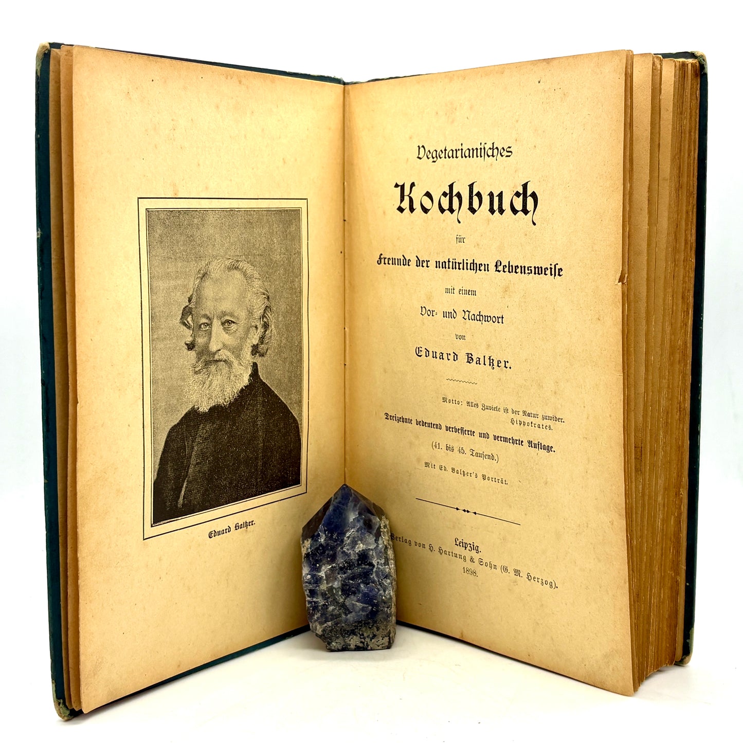 BALTZER, Eduard "Vegetarianisches Kochbuch" [Hartung, 1898] Vegetarian Cookbook