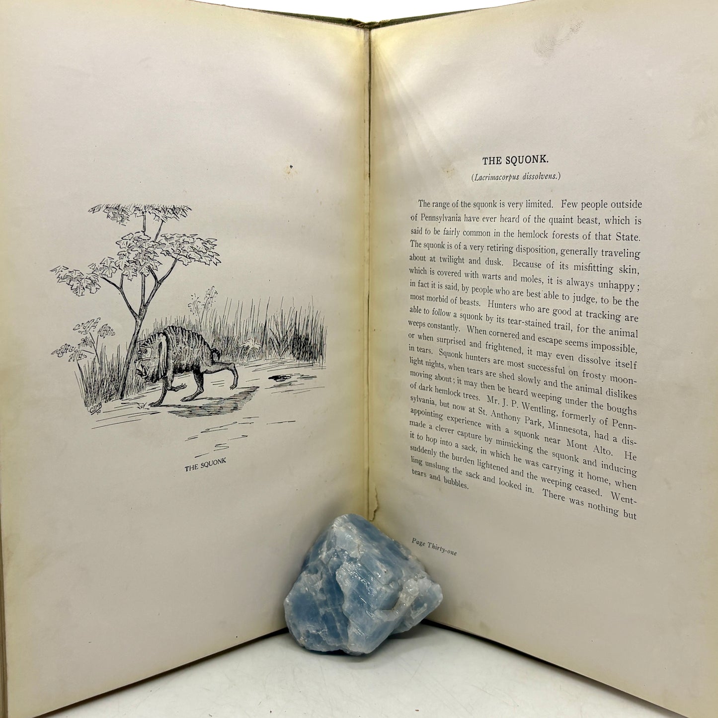 Cox, William T. "Fearsome Creatures of the Lumberwoods" [Judd & Detweiler, 1910] Signed 1st Edition
