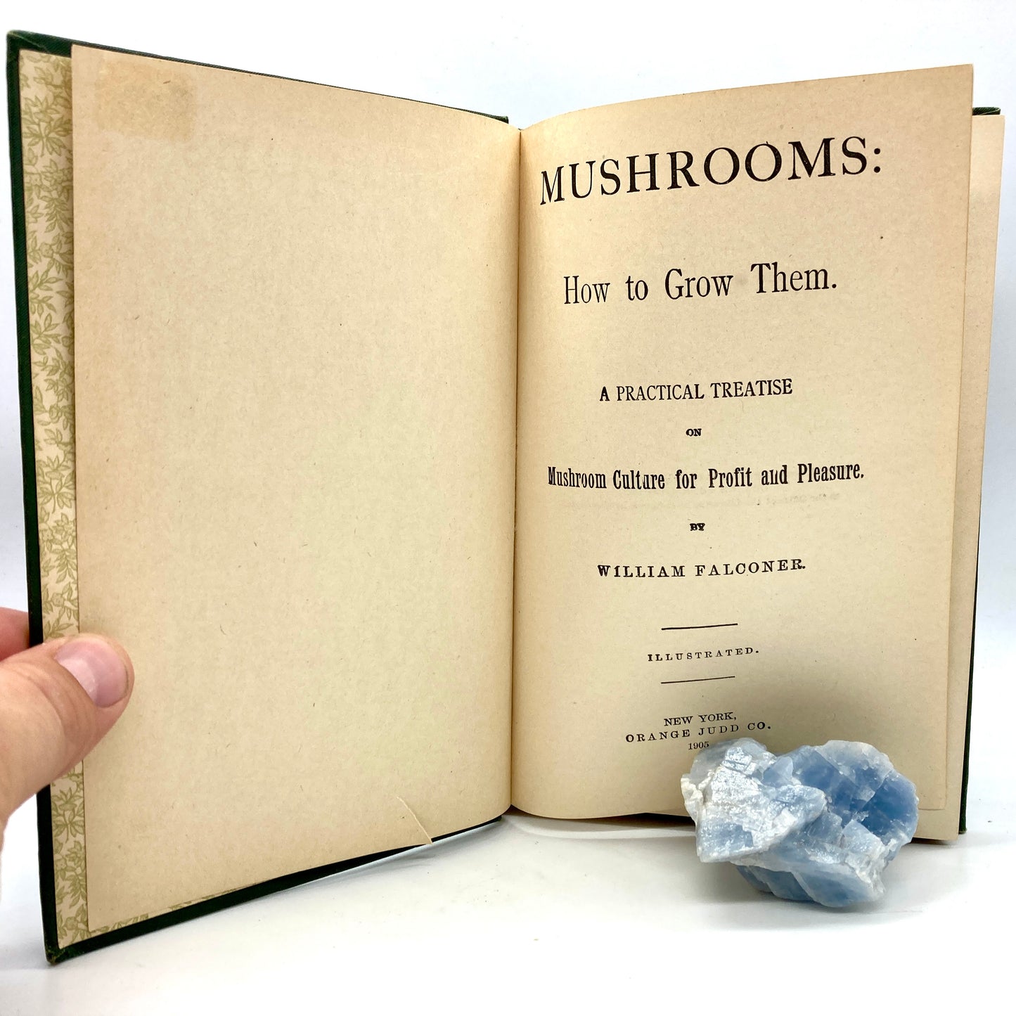 FALCONER, William “Mushrooms, How to Grow Them, a Treatise" [Orange Judd, 1905]