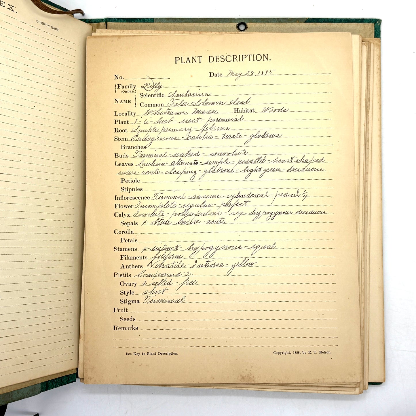 [Massachusetts] Anonymous "Herbarium and Plant Descriptions" [Allyn and Bacon, c1895]