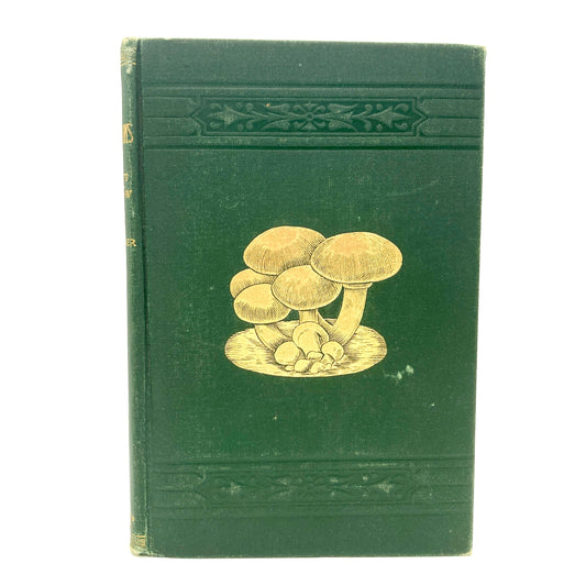 FALCONER, William “Mushrooms, How to Grow Them, a Treatise" [Orange Judd, 1904]