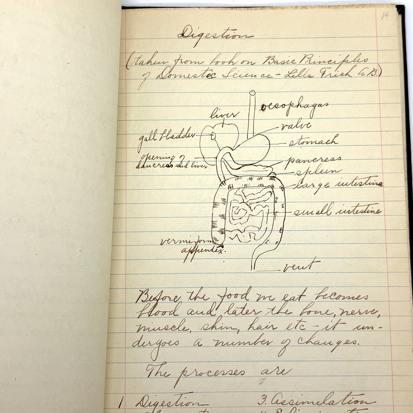 OLIPHANT, Annie "Handwritten Notes for Domestic Science/Cookery Course" [c1915–1925]