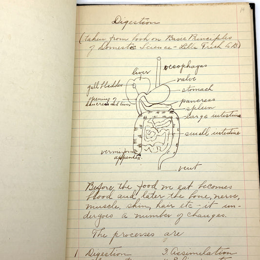 OLIPHANT, Annie "Handwritten Notes for Domestic Science/Cookery Course" [c1915–1925]