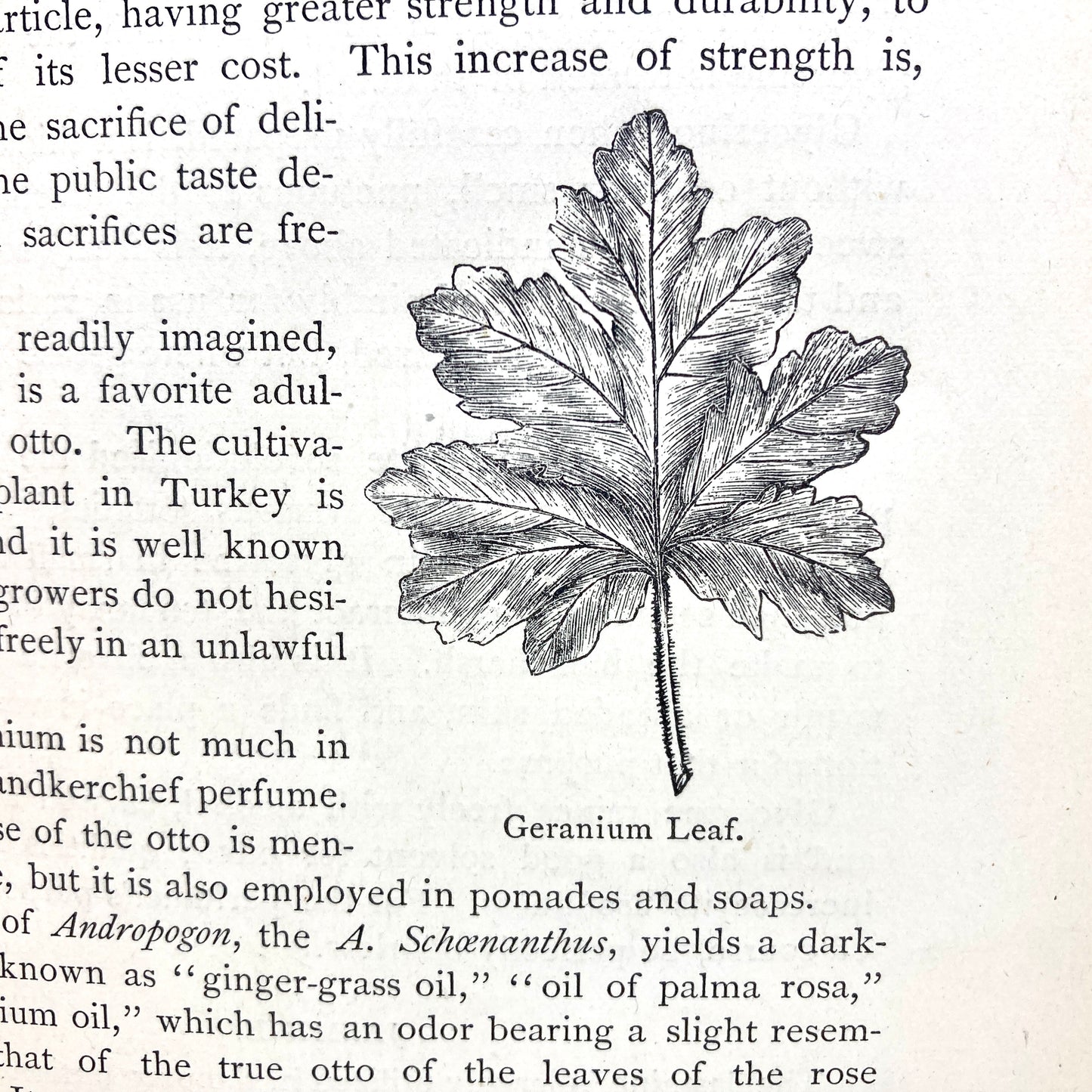 SNIVELY, John H. "A Treatise on the Manufacture of Perfumes" [Charles W. Smith, 1877]