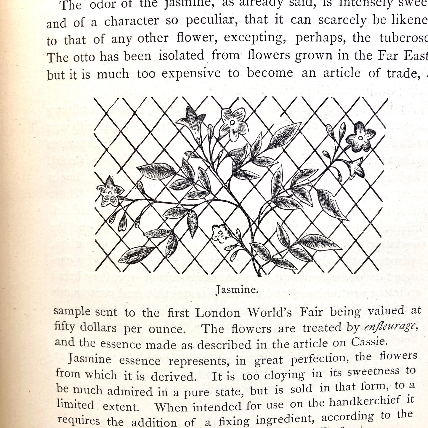 SNIVELY, John H. "A Treatise on the Manufacture of Perfumes" [Charles W. Smith, 1877]