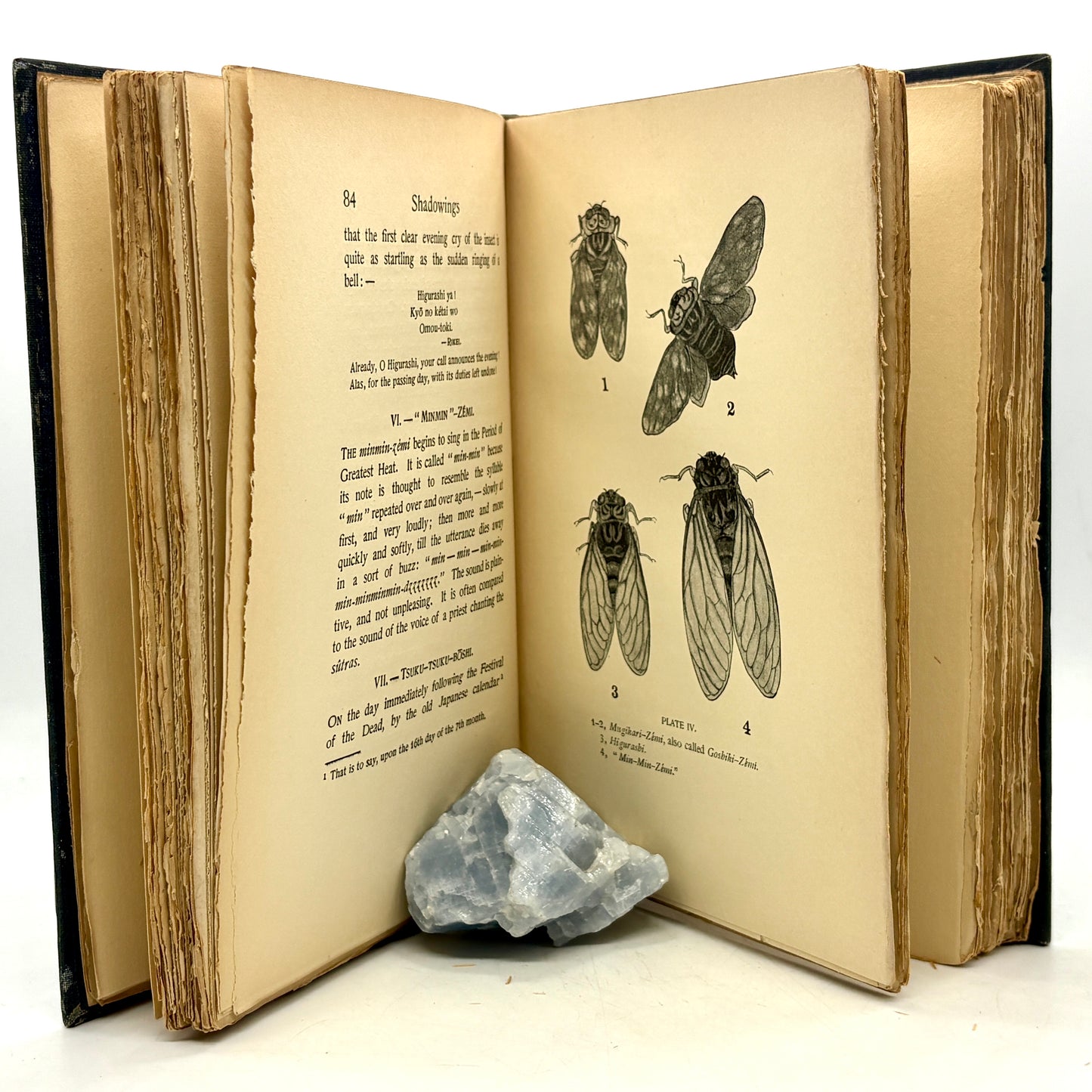 HEARN, Lafcadio "Shadowings" [Little, Brown, and Company, 1900]