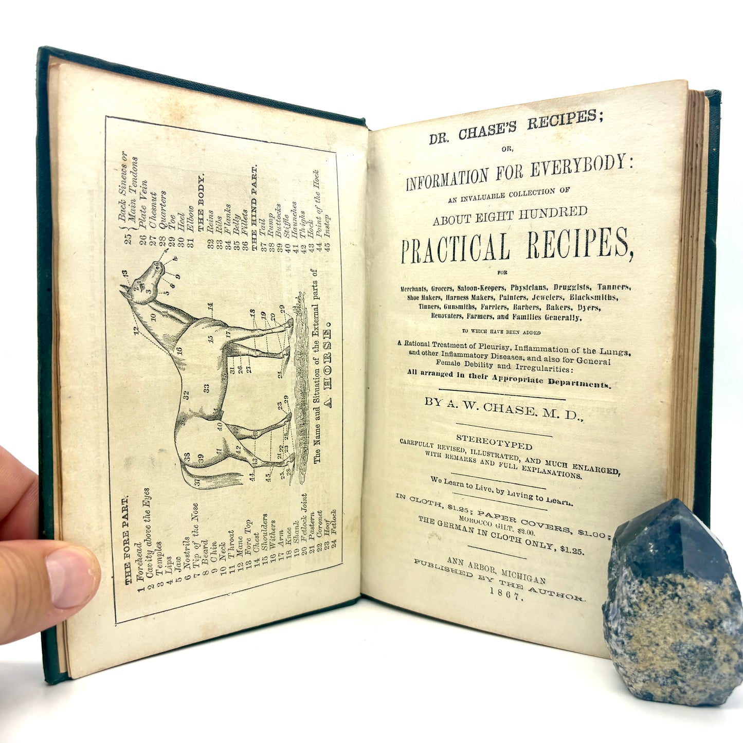 CHASE, A.W. "Dr. Chase's Recipes" [Published by the Author, 1867] 800 Recipes