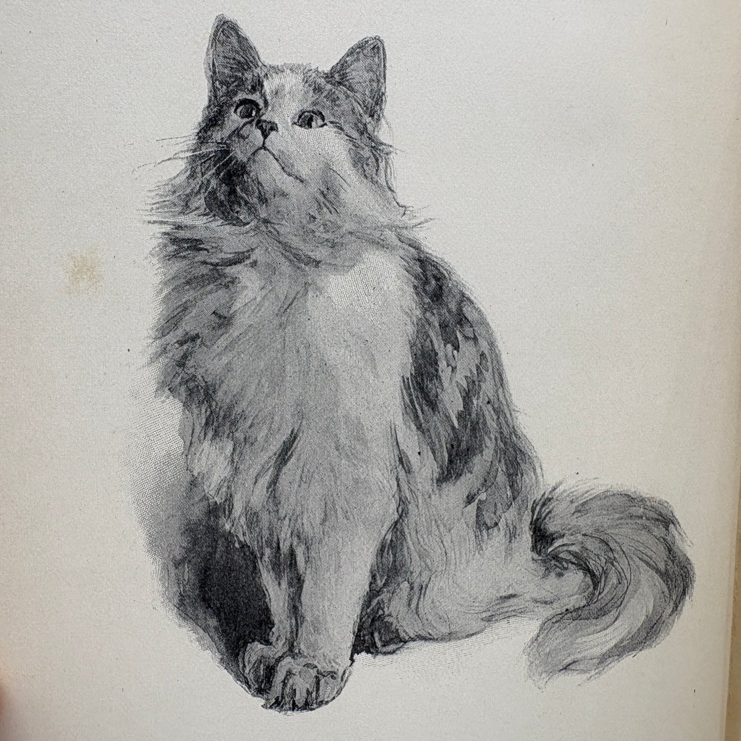 REPPLIER, Agnes "The Fireside Sphinx" [Houghton Mifflin, 1901] 1st Edition, Cats