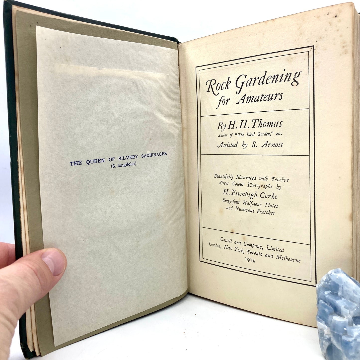 THOMAS, H.H. "Rock Gardening for Amateurs" [Cassell & Company, 1914]