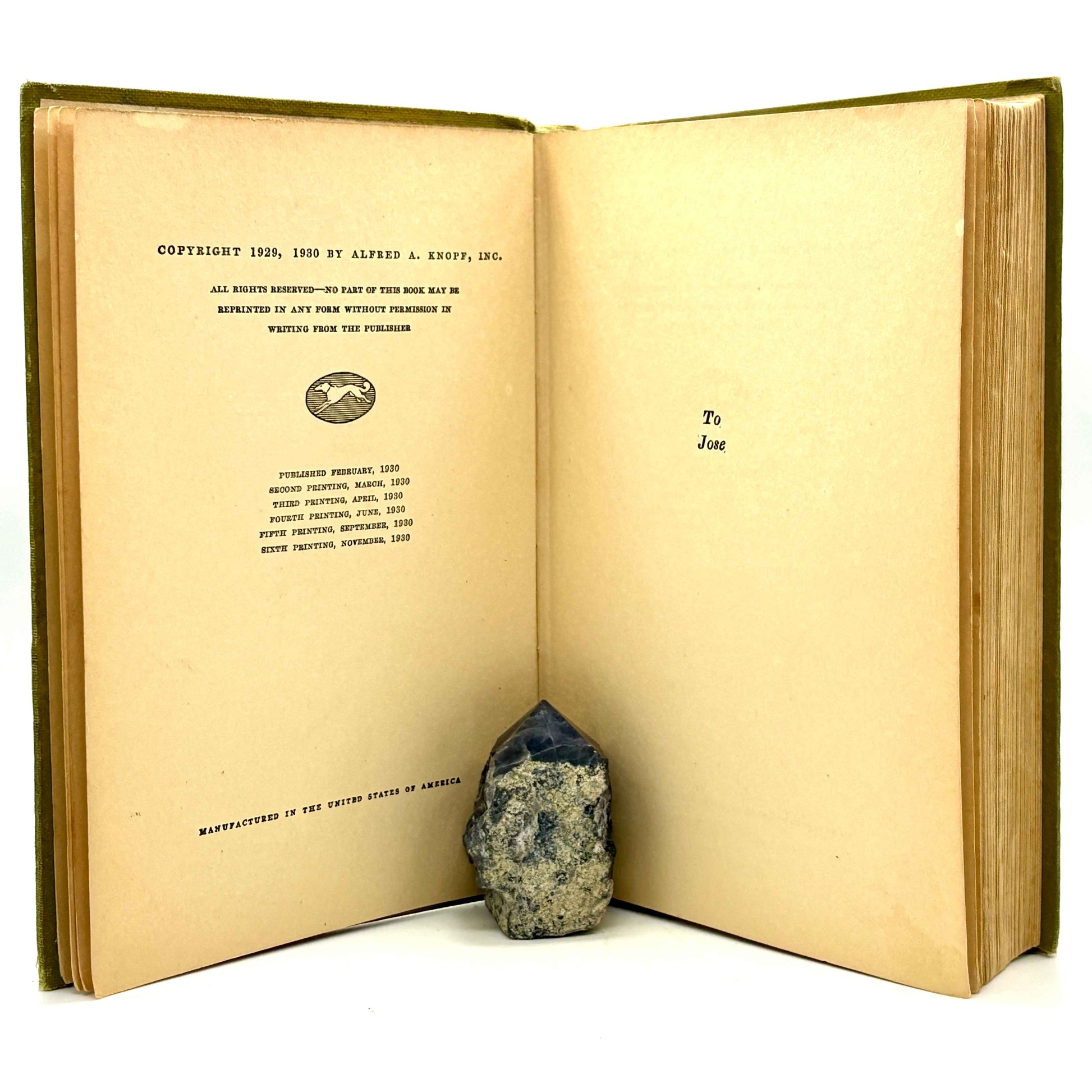 HAMMETT, Dashiell "The Maltese Falcon" [Grosset & Dunlap, 1930]