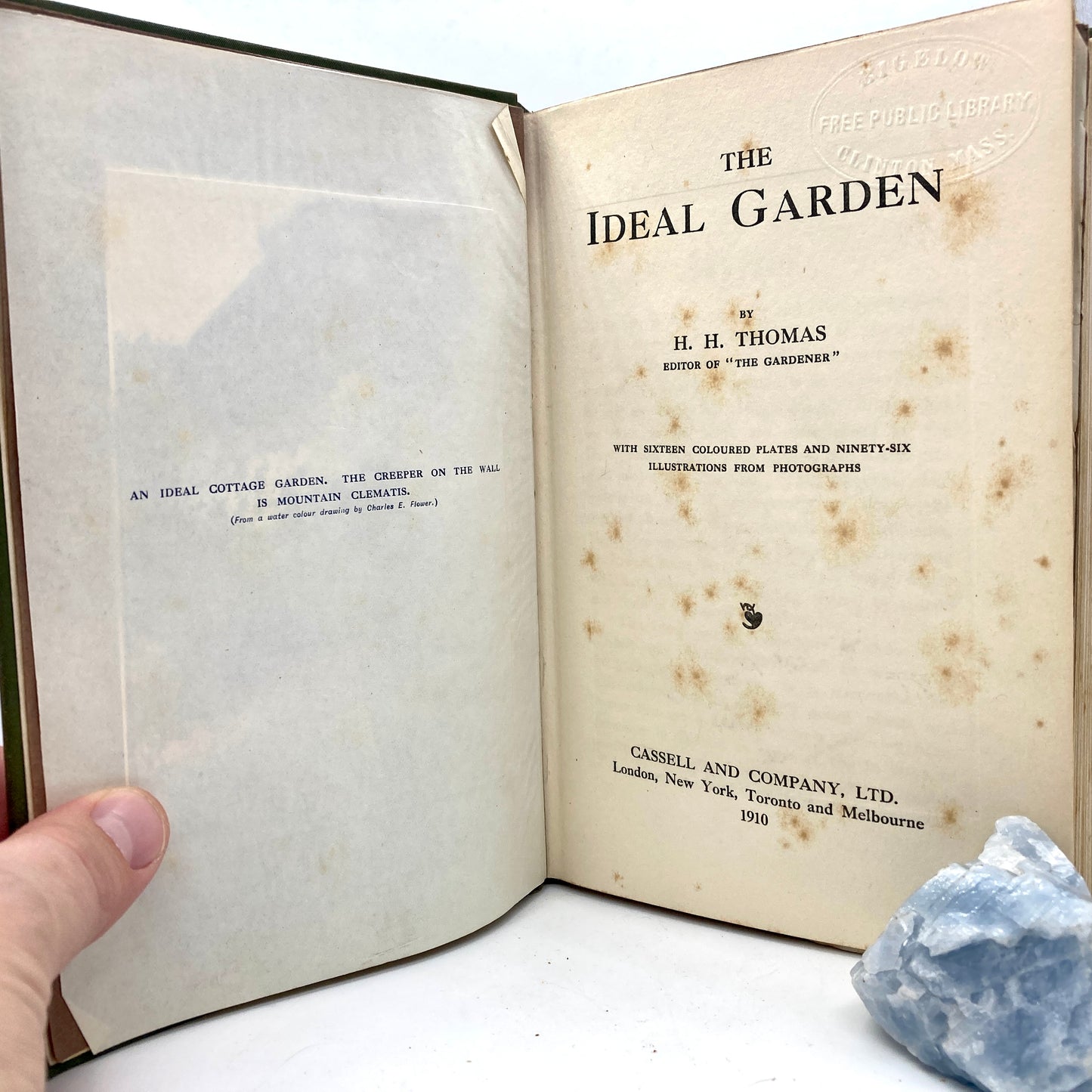 THOMAS, H.H. "The Ideal Garden" [Cassell & Company, 1910]