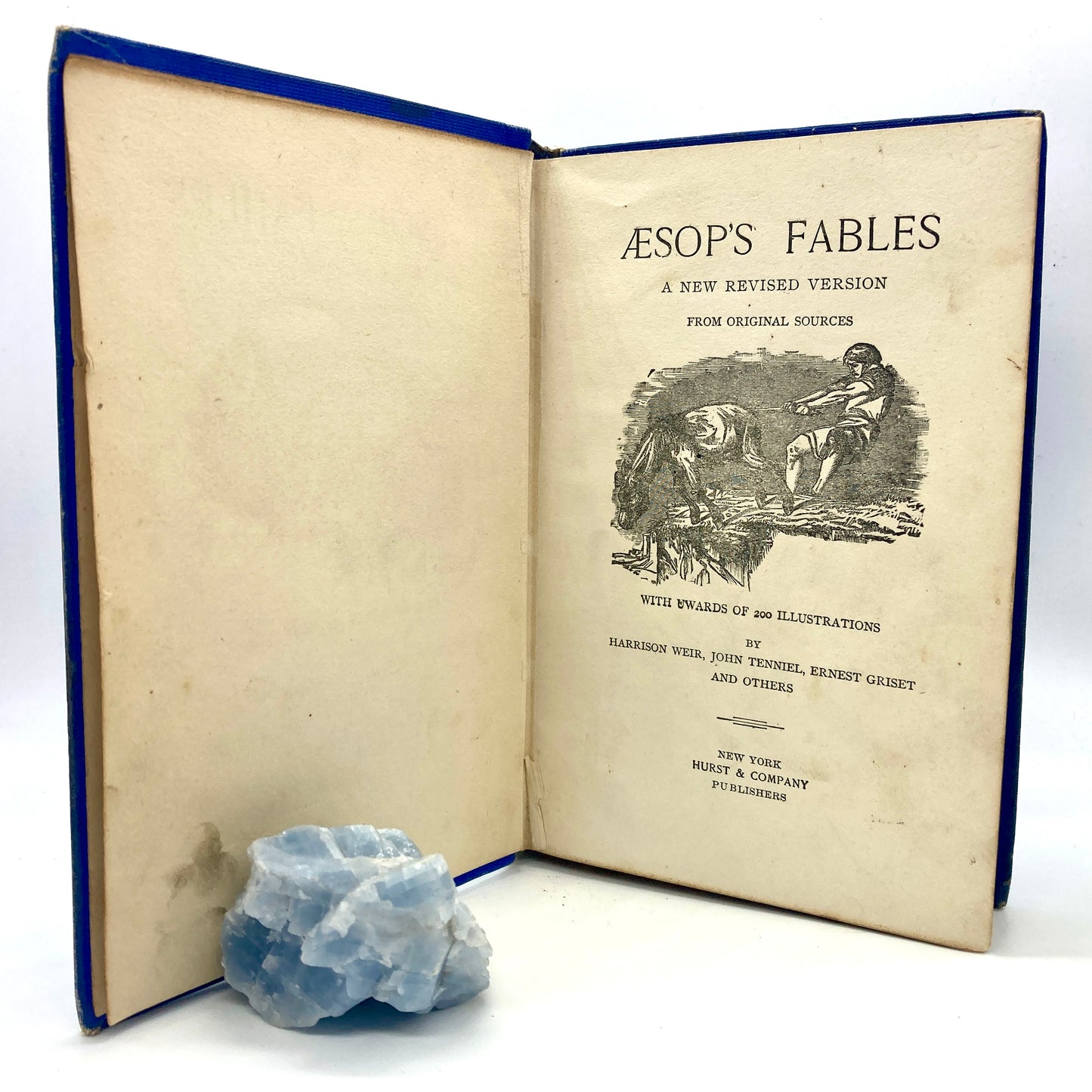 AESOP "Fables" [Hurst & Co, n.d./c1910s] 200+ Illustrations