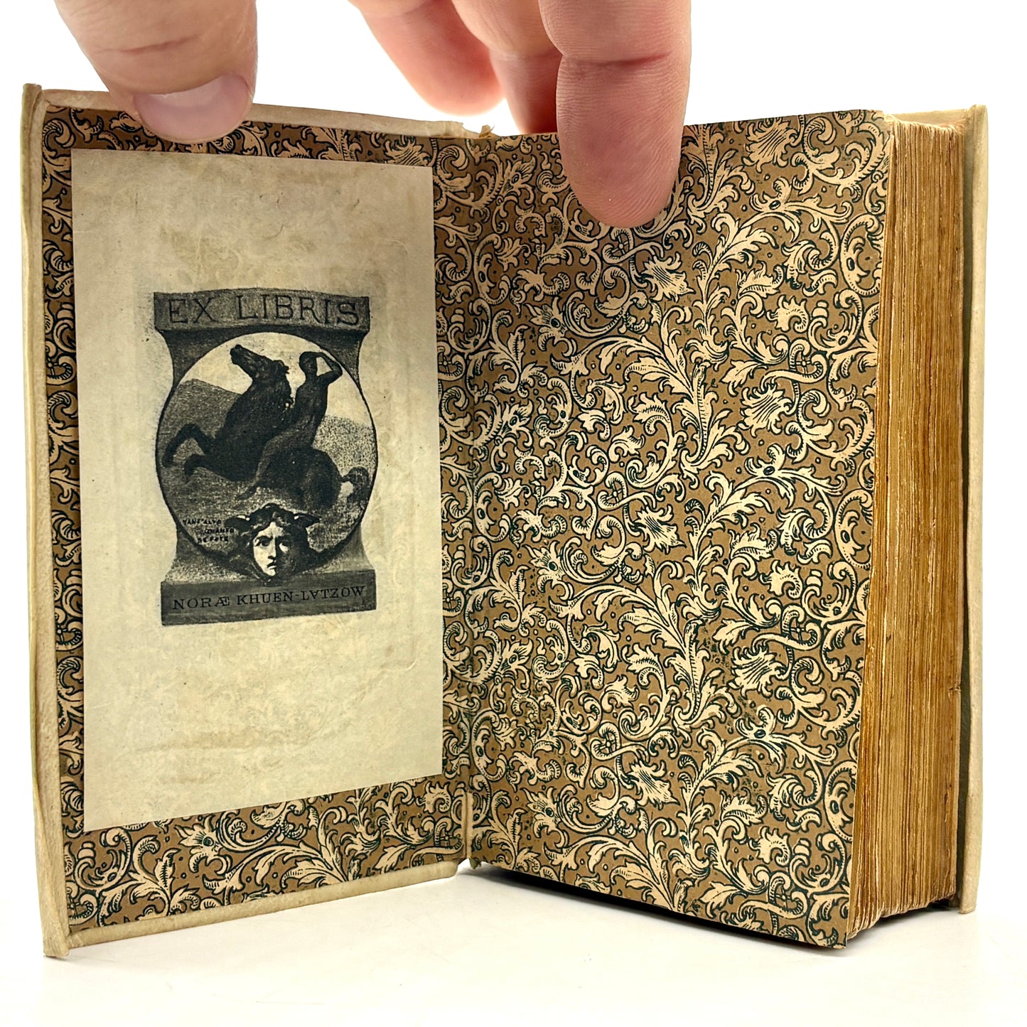 DANTE, Alighieri "Dante con nuove, et utili ispositioni" [Guglielmo Rouillio, 1575] Divine Comedy