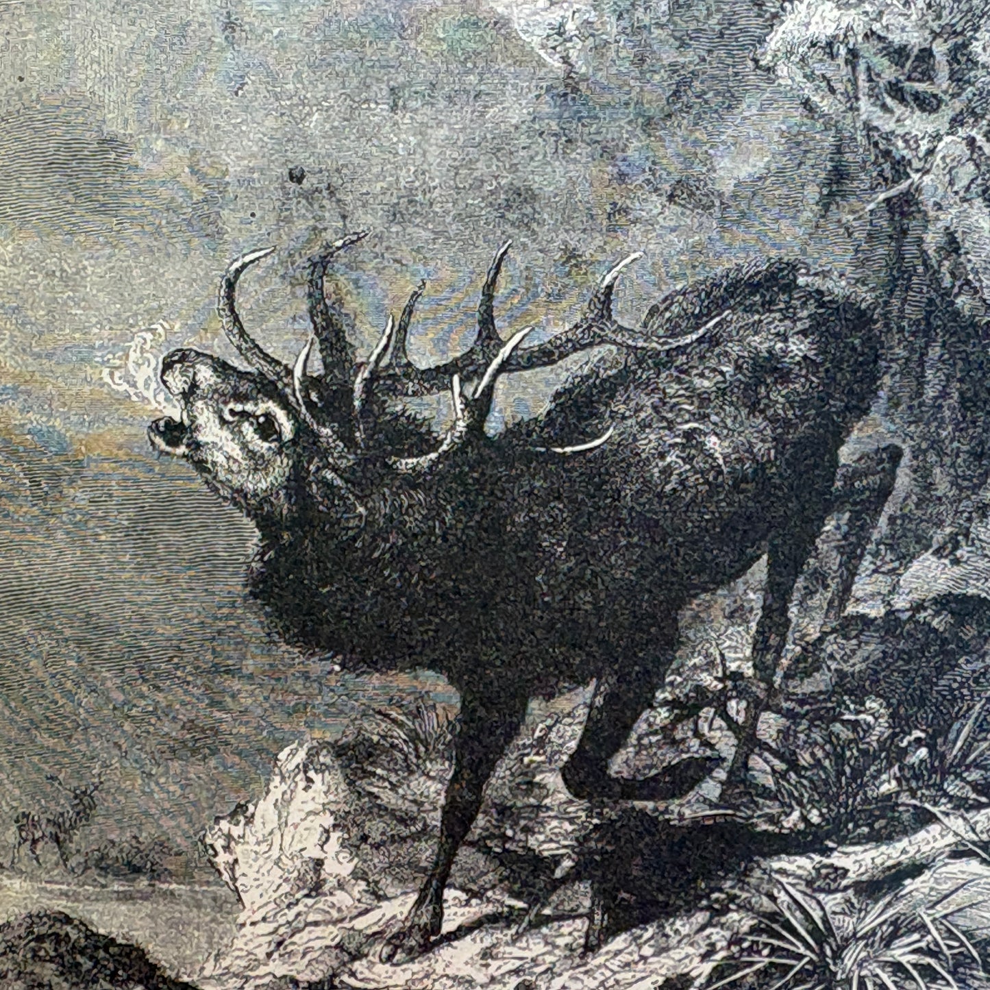 MACKENZIE, Harriet D. S. “History of Switzerland” [D. Lothrop & Co., 1881]