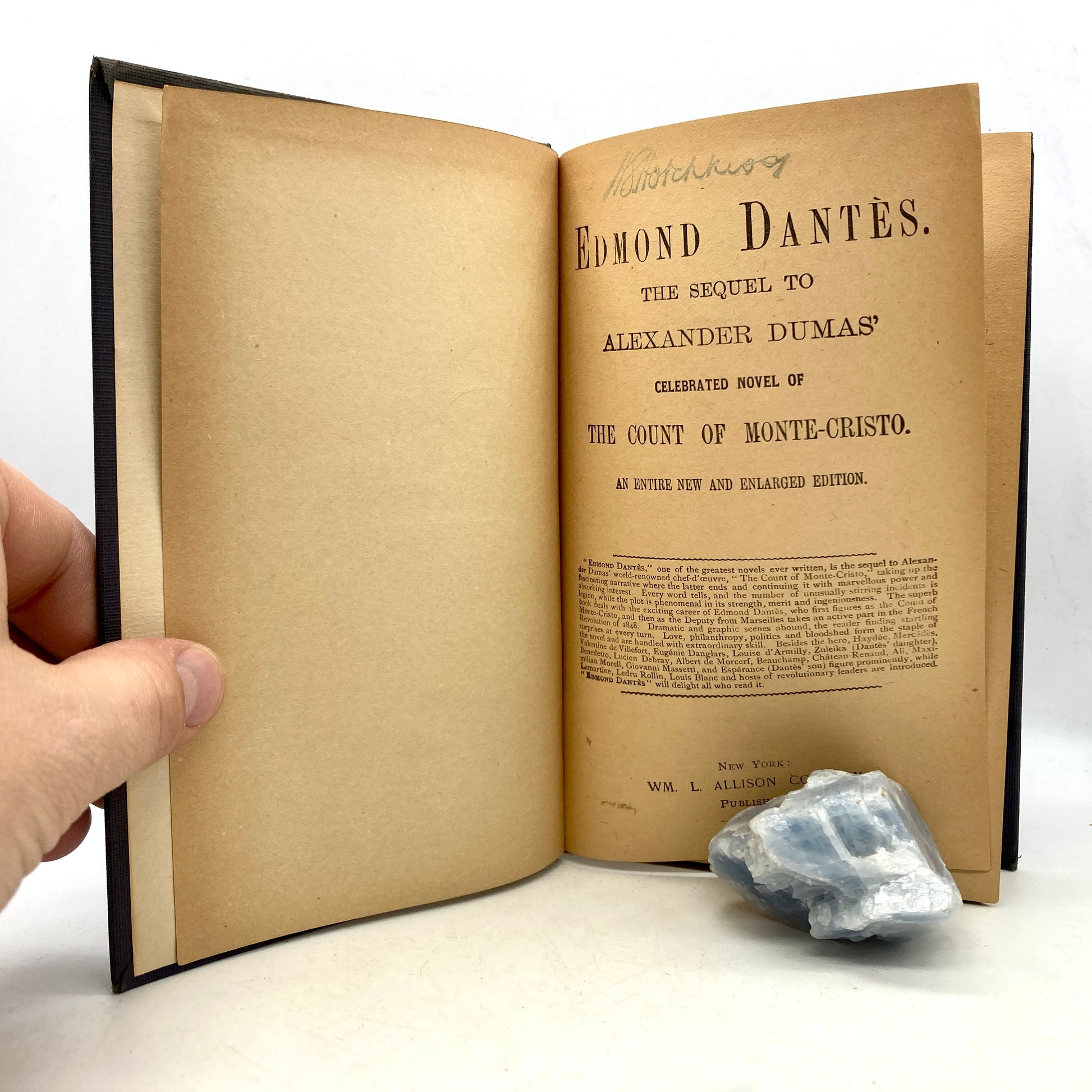 DUMAS, Alexandre "Edmond Dantes" [Wm. L. Allison, 1884] - Buzz Bookstore