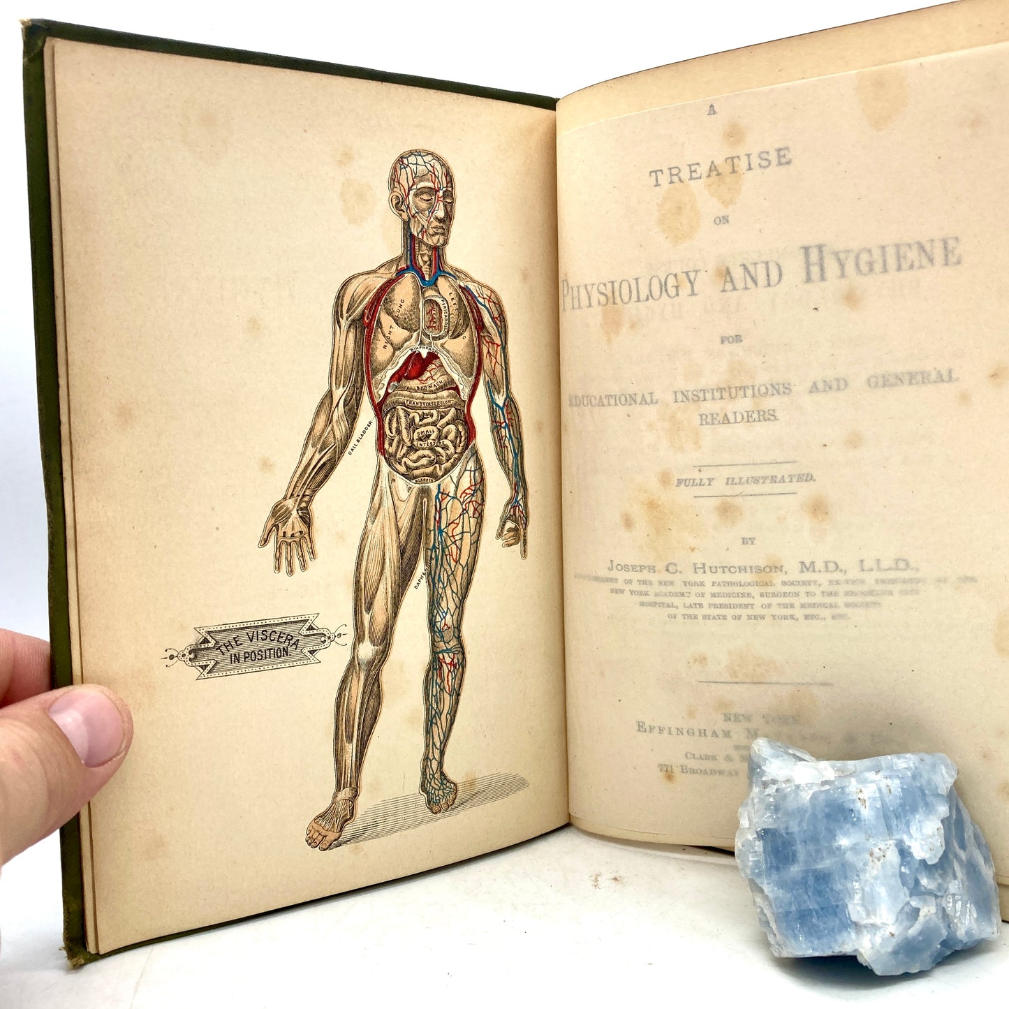 HUTCHISON, Joseph C. "Physiology and Hygiene" [Effingham Maynard, 1890]