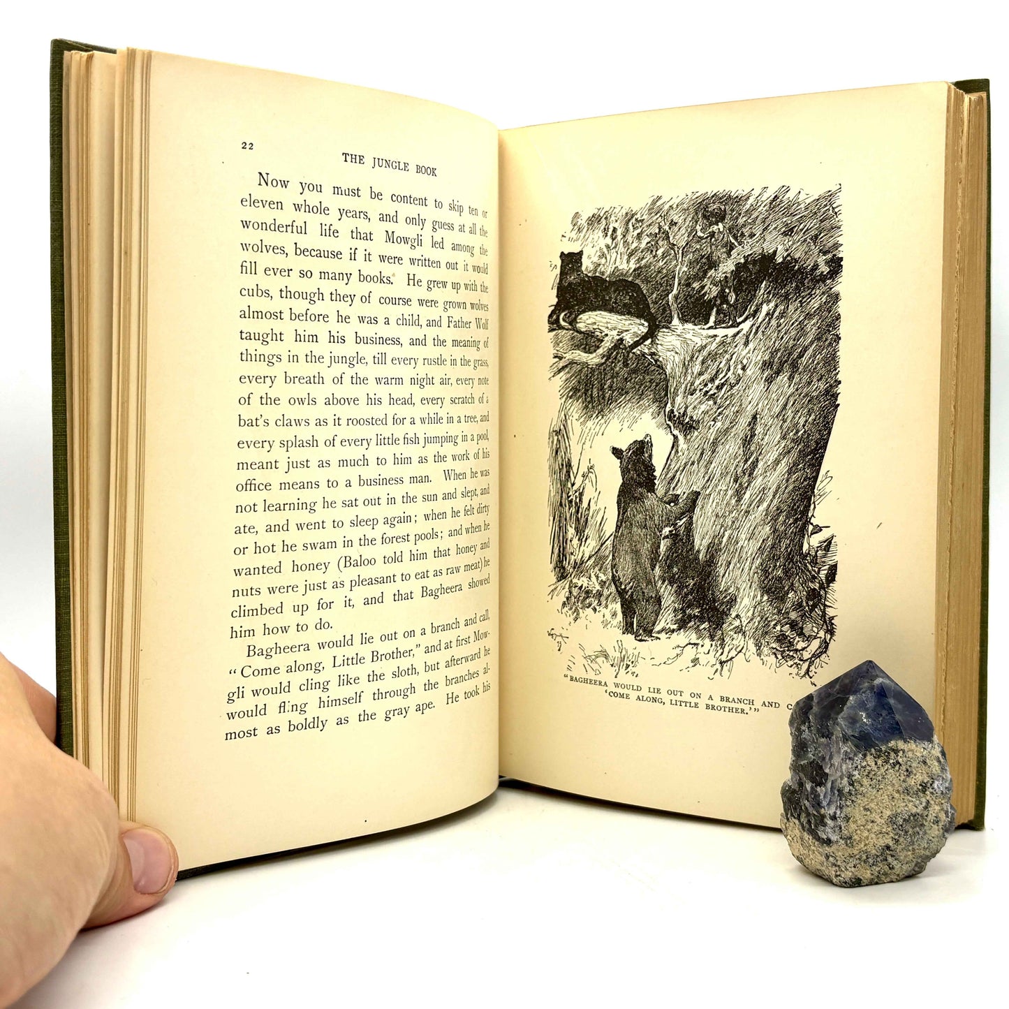 KIPLING, Rudyard "The Jungle Book" [The Century Co., 1912] NF