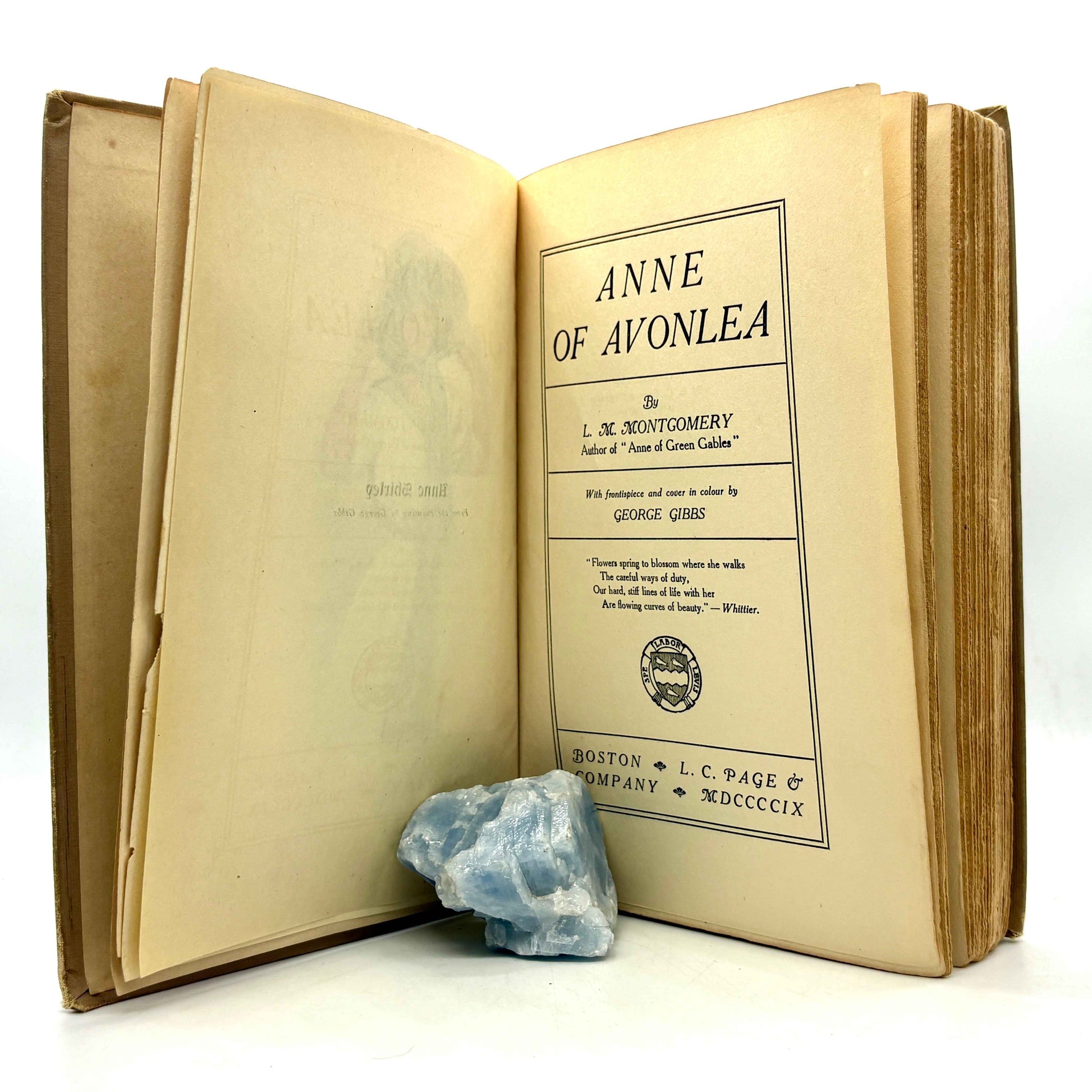 MONTGOMERY, L. M. “Anne of Avonlea” [L. C. Page & Company, 1909] 1st Printing