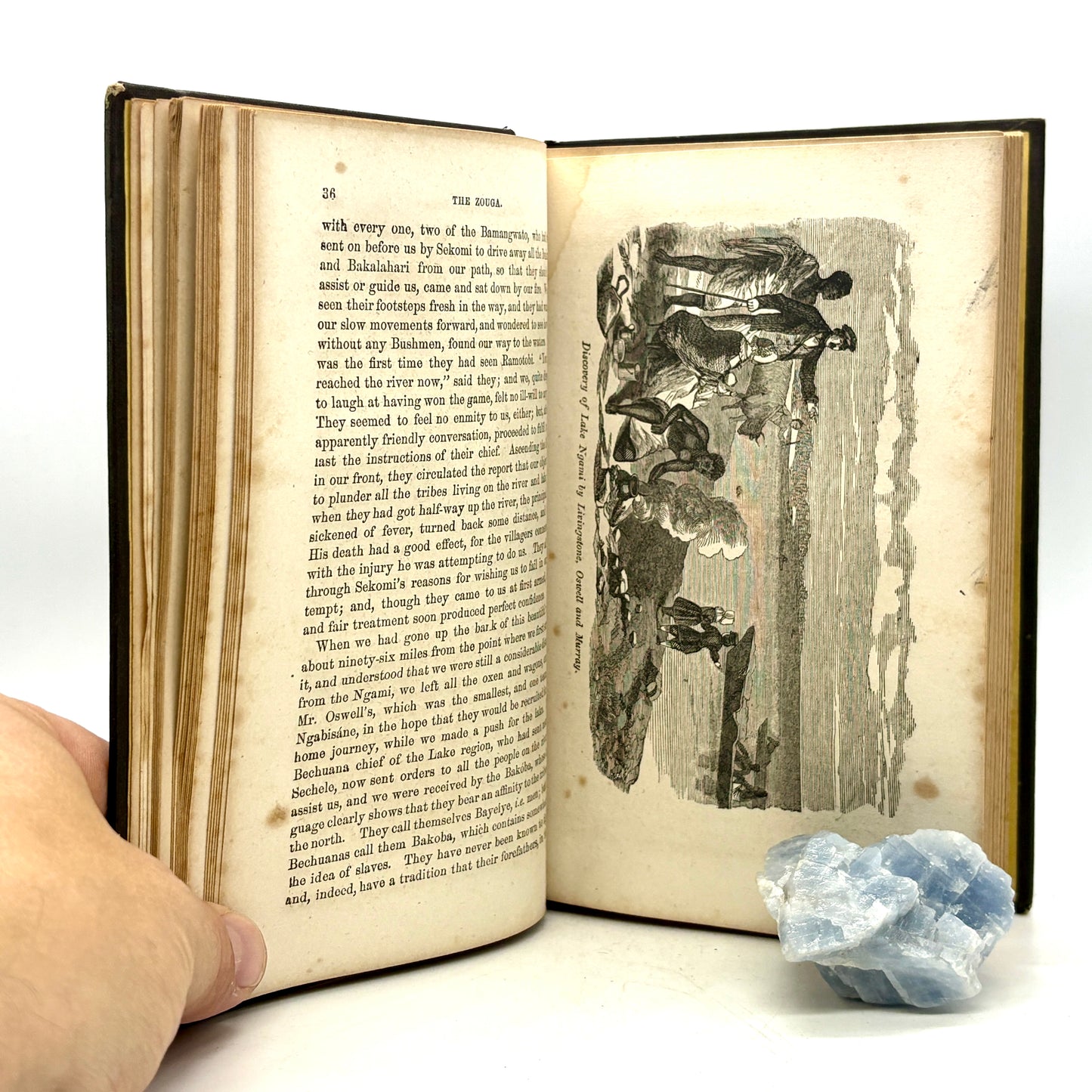 LIVINGSTONE, David "Travels and Researches in South Africa" [Bradley, 1860]