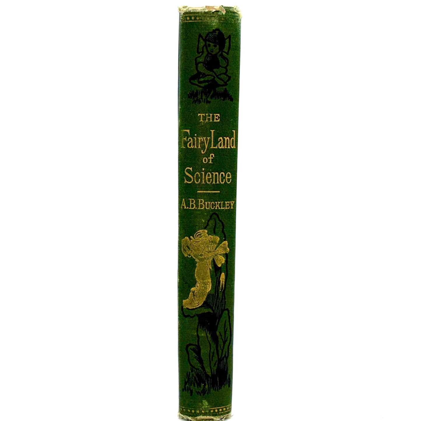 BUCKLEY, Arabella B. “The Fairy-Land of Science” [Appleton, 1890]