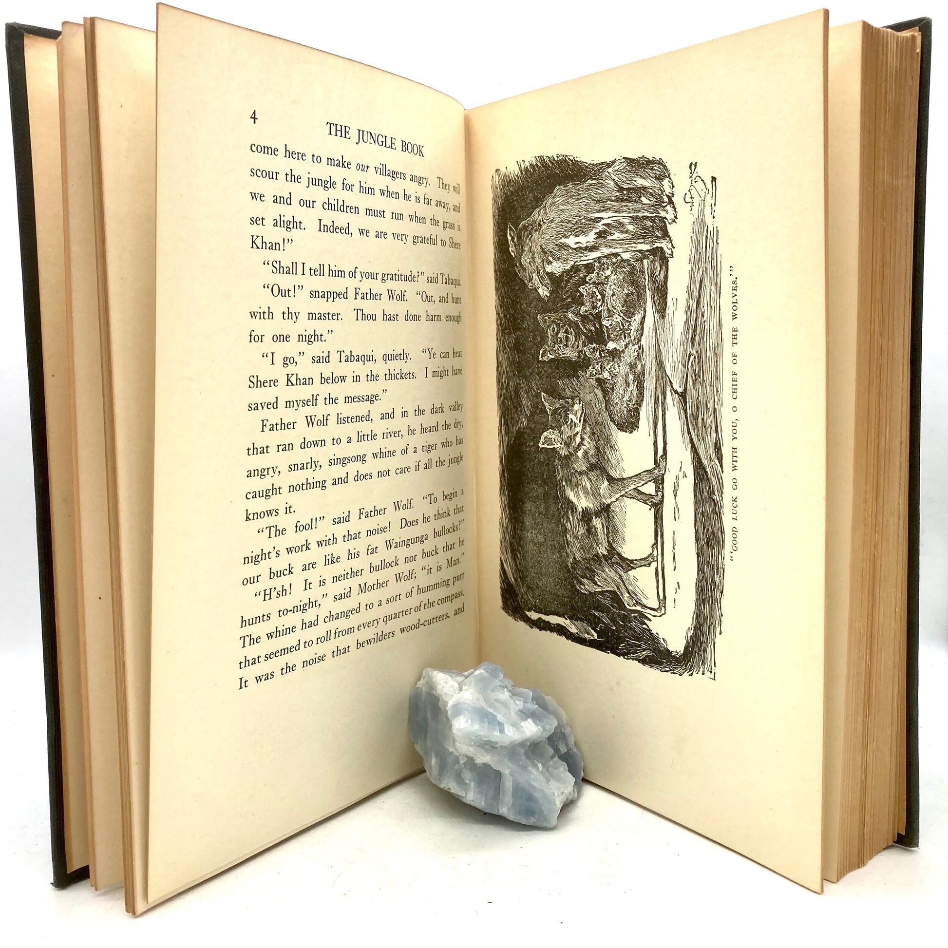 KIPLING, Rudyard "The Jungle Book"/"The Second Jungle Book" [Doubleday, 1924/25] - Buzz Bookstore