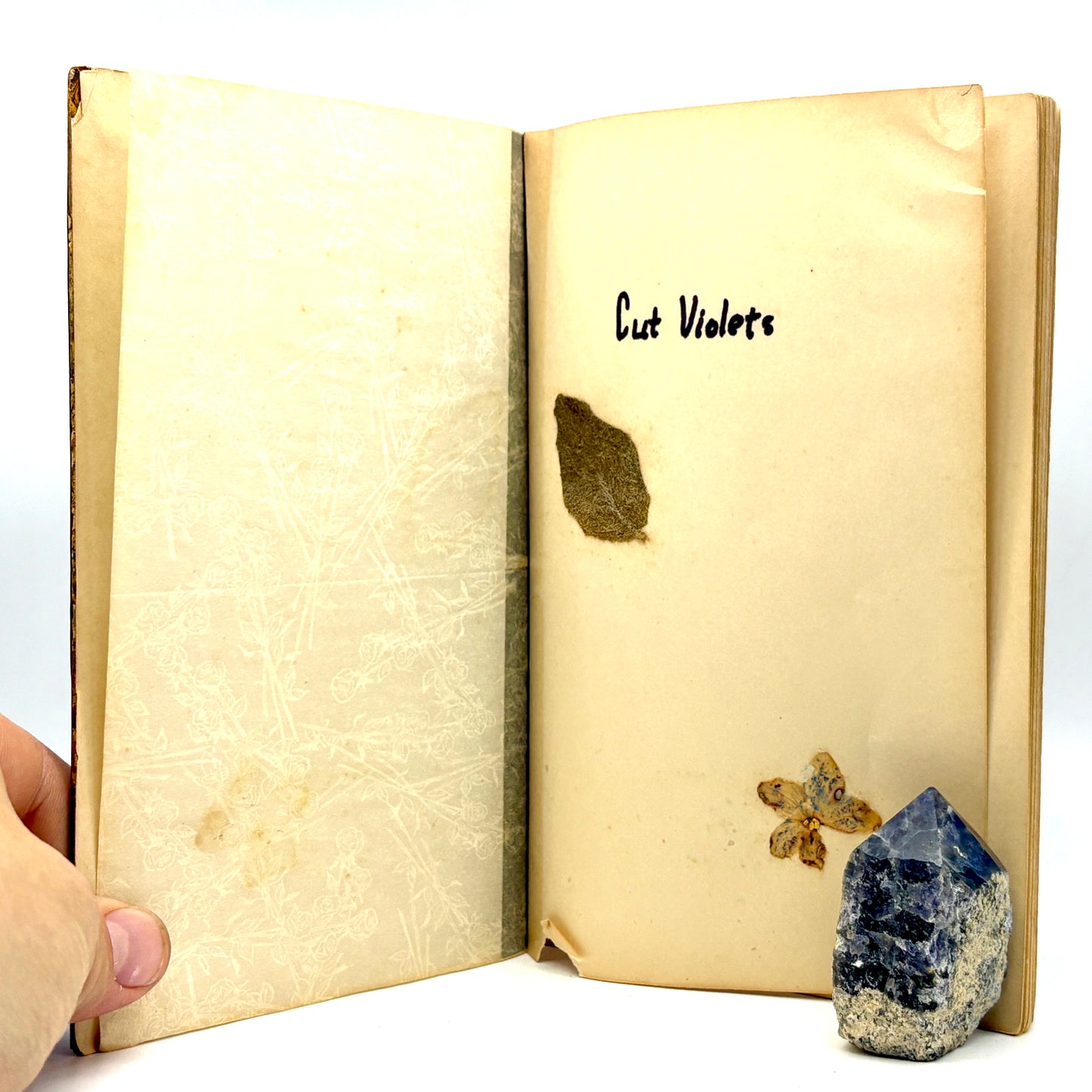 HOHN, Madeleine X. “Cut Violets” [1960–1966] Handwritten Poetry Manuscript Book