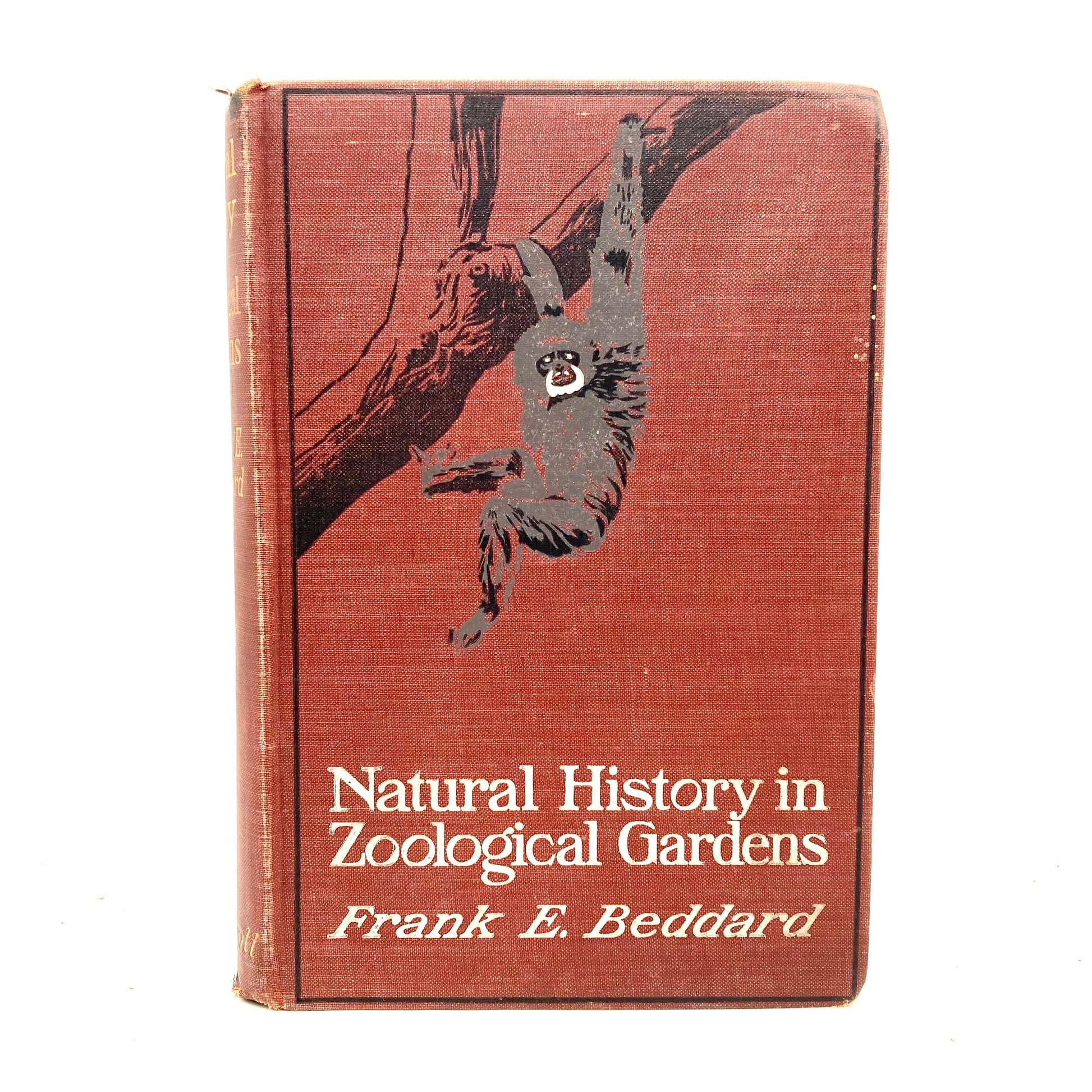 BEDDARD, Frank E. "Natural History in Zoological Gardens" [Lippincott, 1905] - Buzz Bookstore