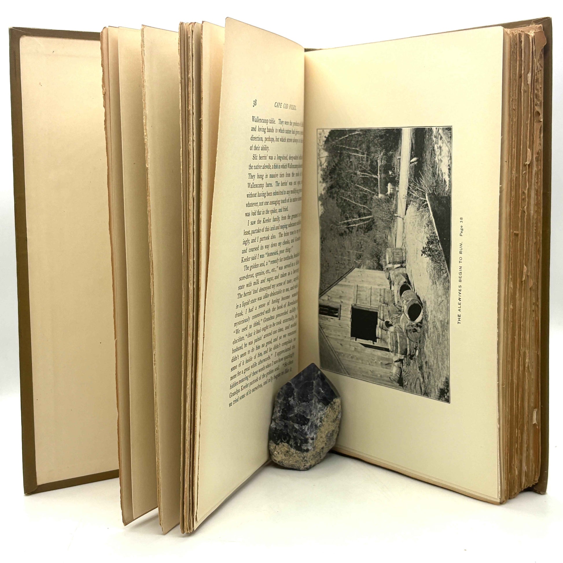 GREENE, Sarah P. McLean "Cape Cod Folks" [Dewolfe, Fiske & Co., 1904]