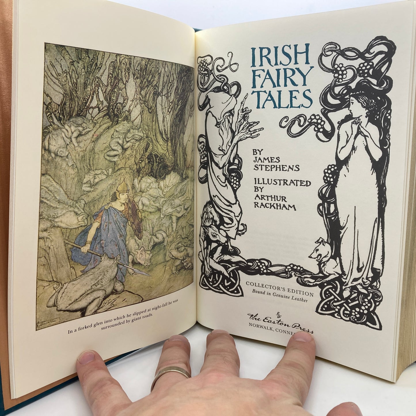 STEPHENS, James "Irish Fairy Tales" [Easton Press, 1996] Arthur Rackham