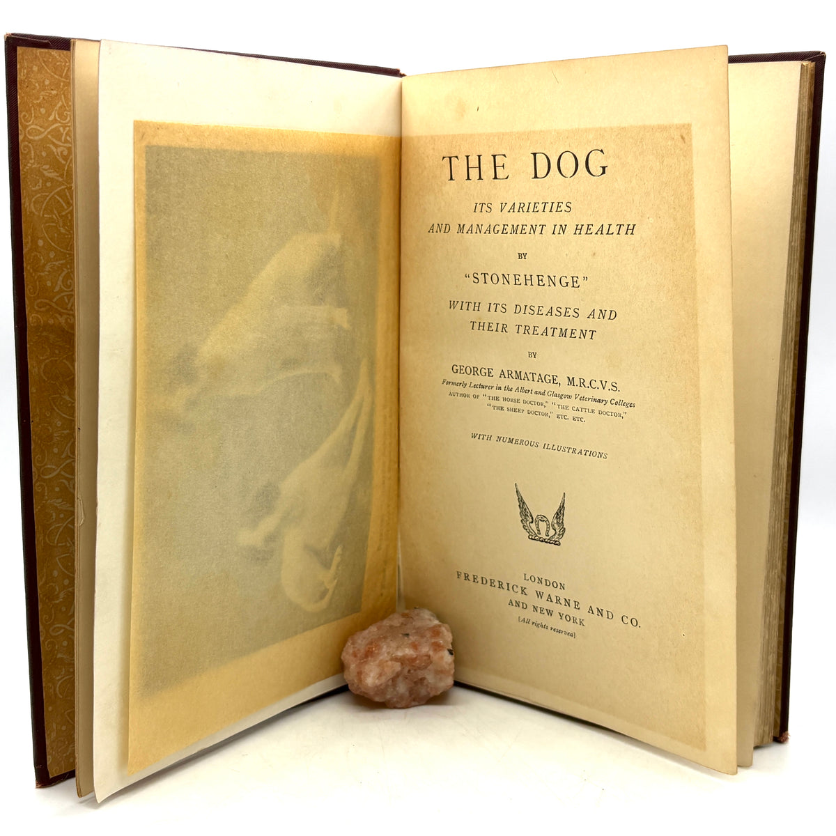 Stonehenge “The Dog” [Frederick Warne & Co., c1896] Revised Edition