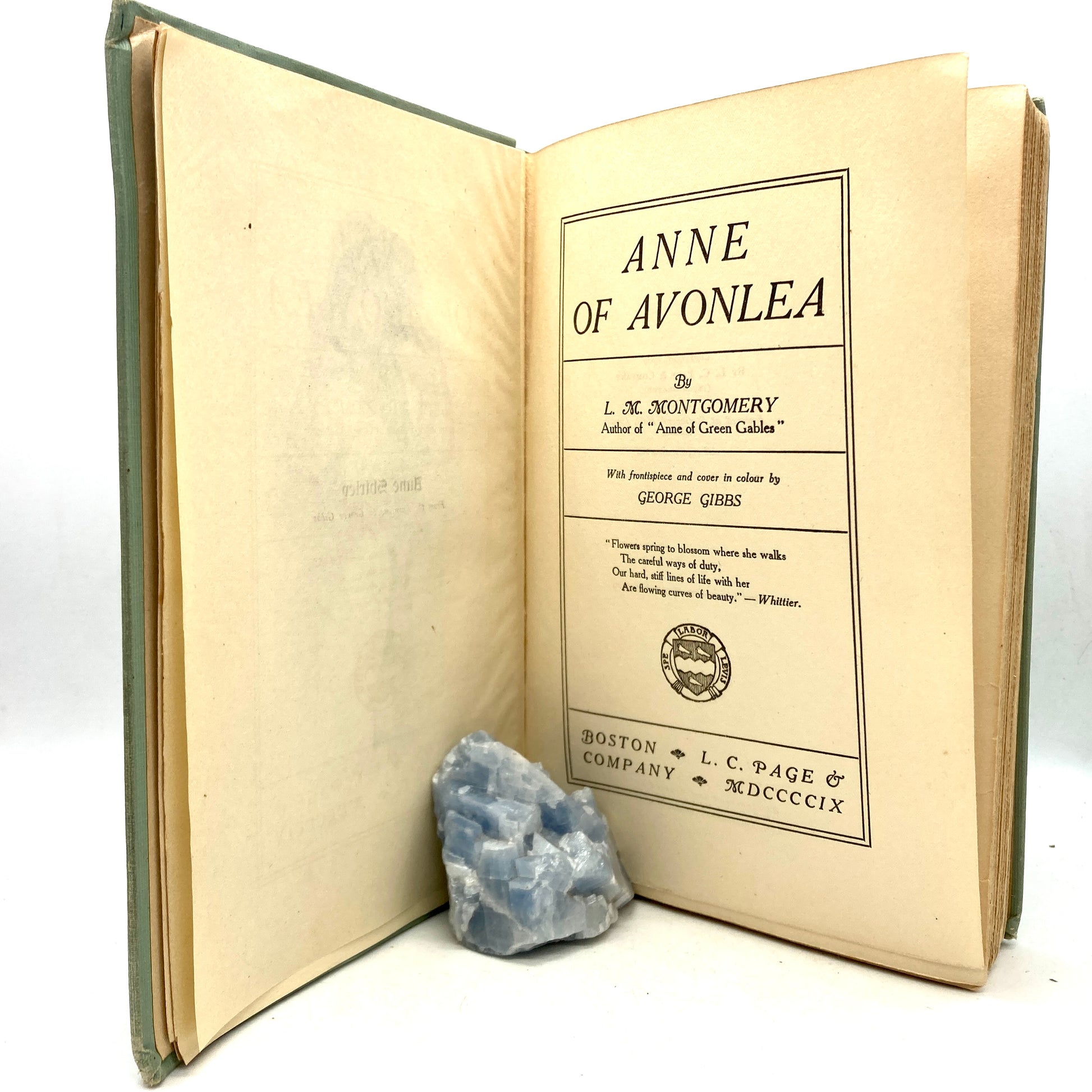 MONTGOMERY, L.M. "Anne of Avonlea" [LC Page, 1909] 1st Edition/1st - Buzz Bookstore