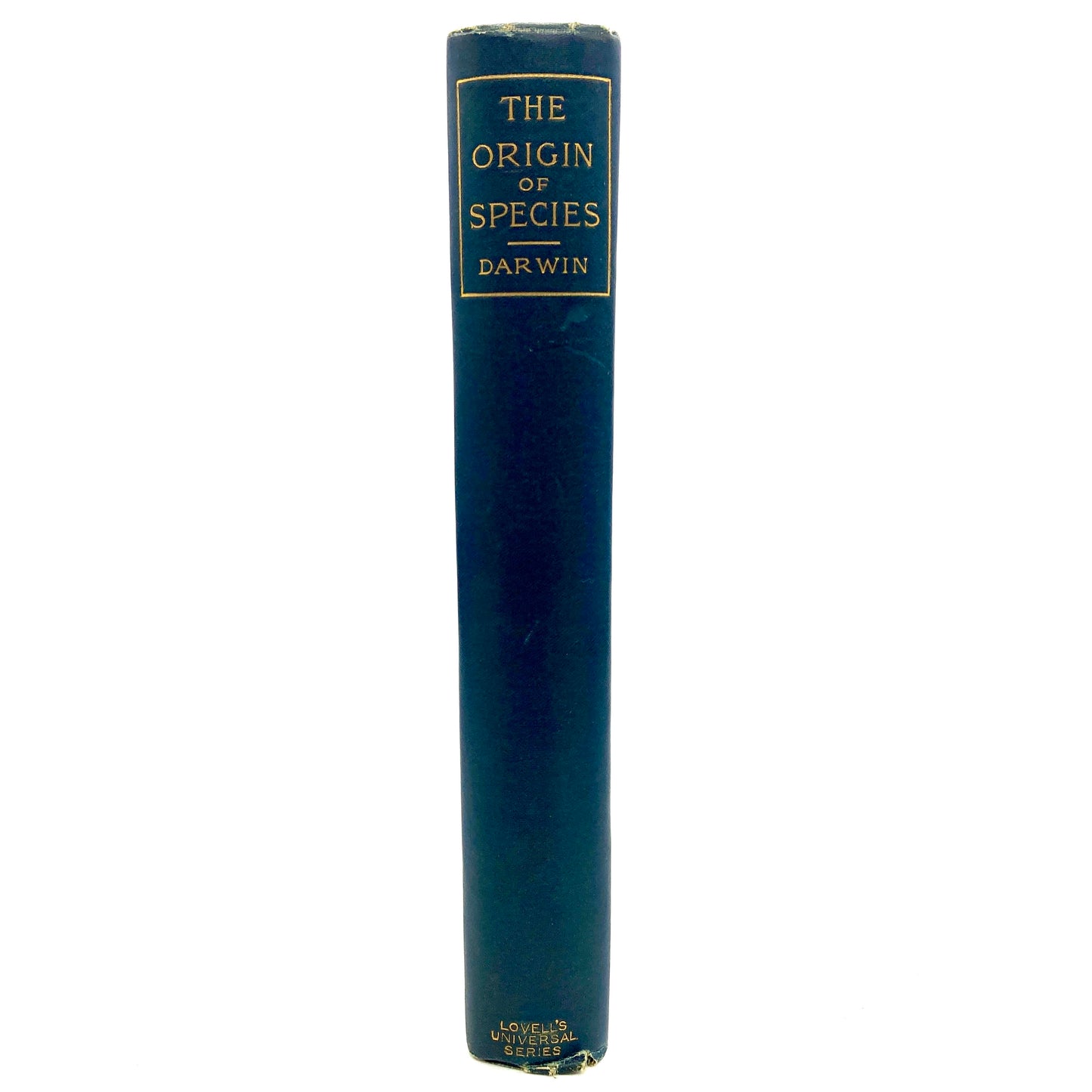 DARWIN, Charles "The Origin of Species" [John W. Lovell, n.d./c1890]