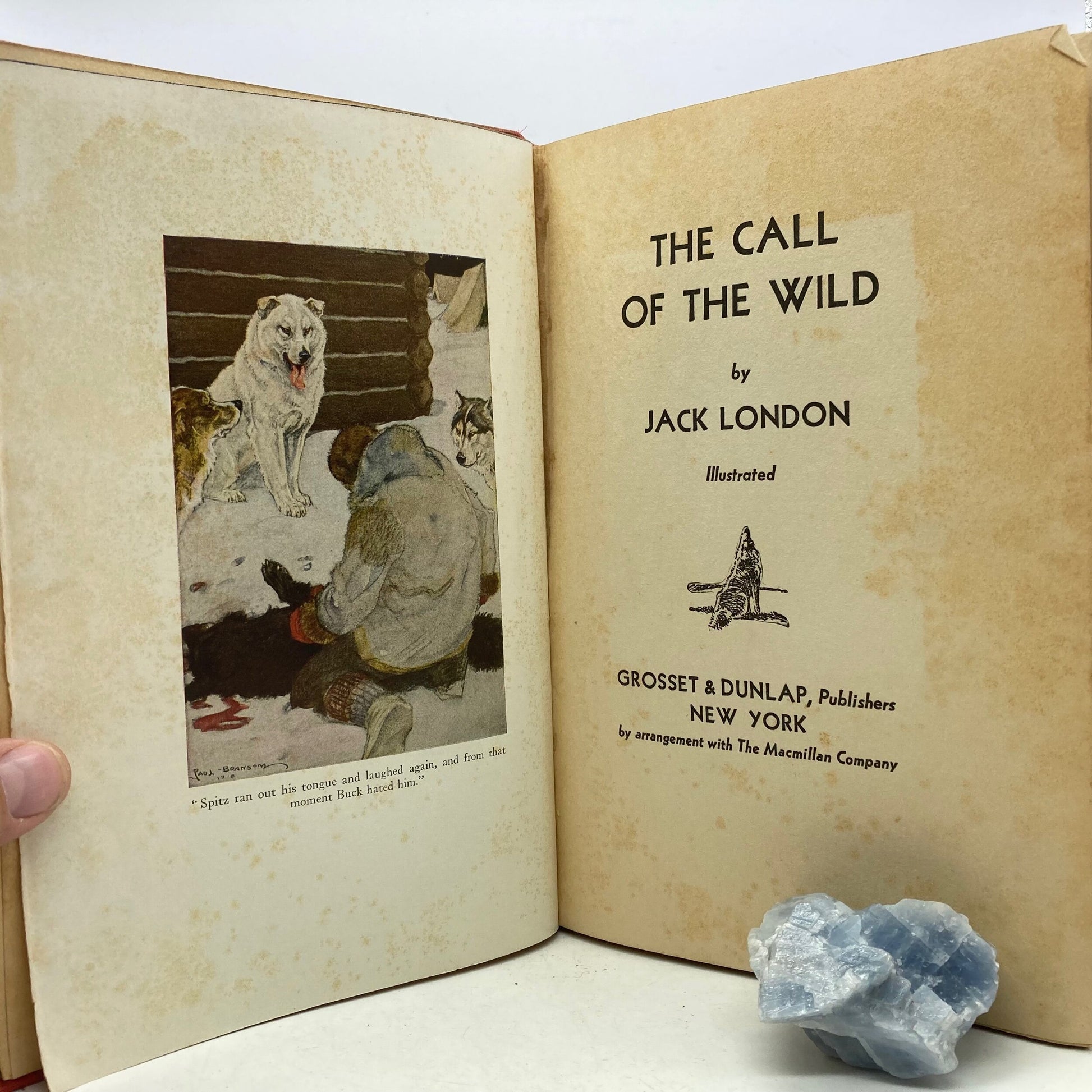 LONDON, Jack "The Call of the Wild" [Grosset & Dunlap, 1931] - Buzz Bookstore