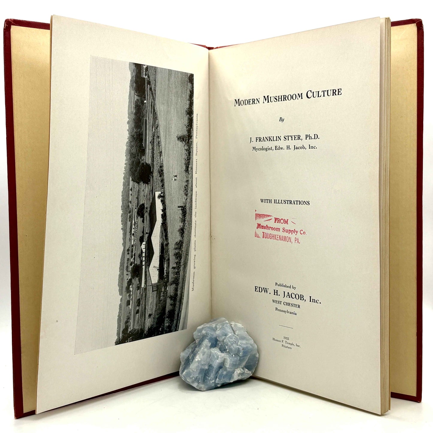 STYER, J. Franklin “Modern Mushroom Culture” [Edw. H. Jacob, Inc., 1933]