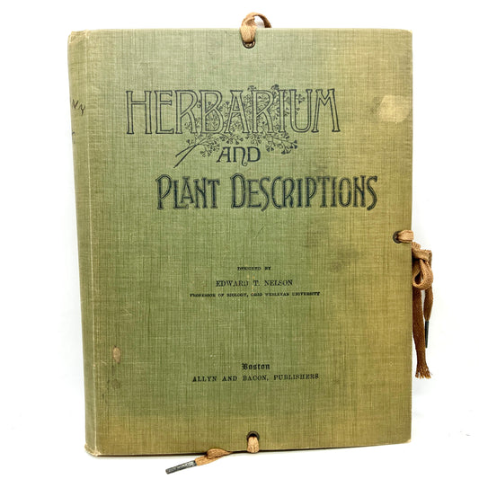 "Herbarium and Plant Descriptions" [Allyn and Bacon, 1910] 32 Dried Samples