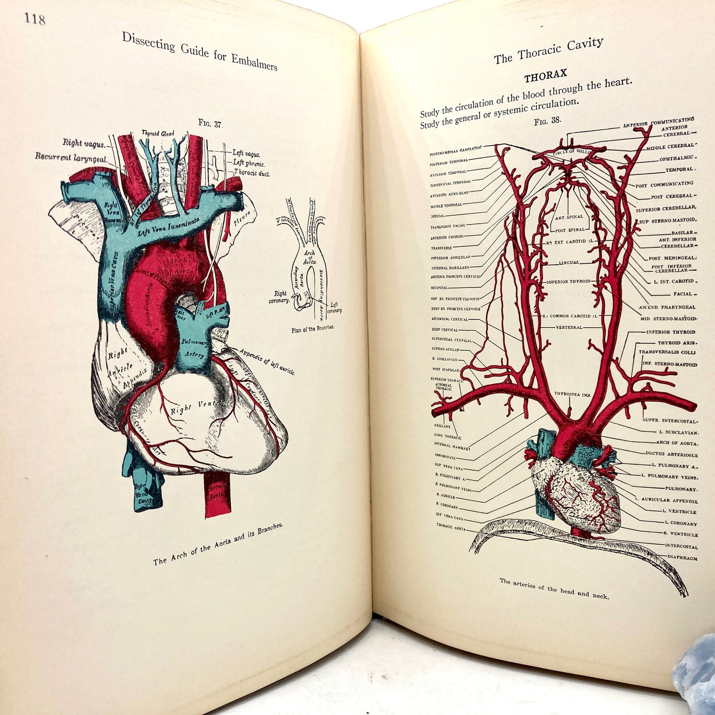 DHONAU, Charles O. "Dissecting Guide for Embalmers" [The Embalming Book Co, 1931]