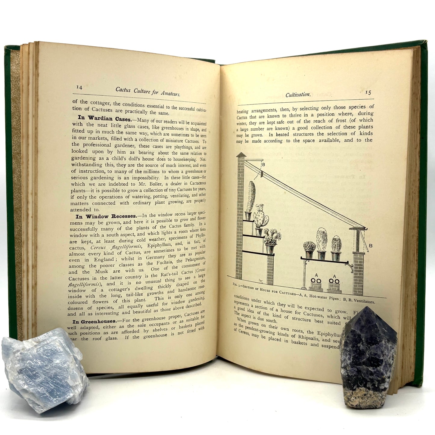 WATSON, William "Cactus Culture for Amateurs" [L. Upcott Gill, 1889]