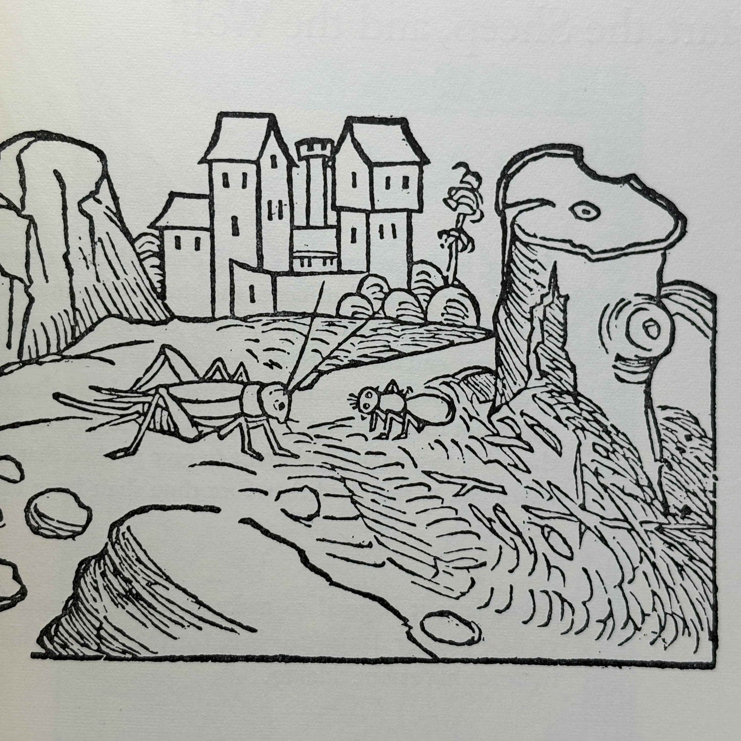 AESOP “Five Centuries of Illustrated Fables” [The Metropolitan Museum of Art, 1964]