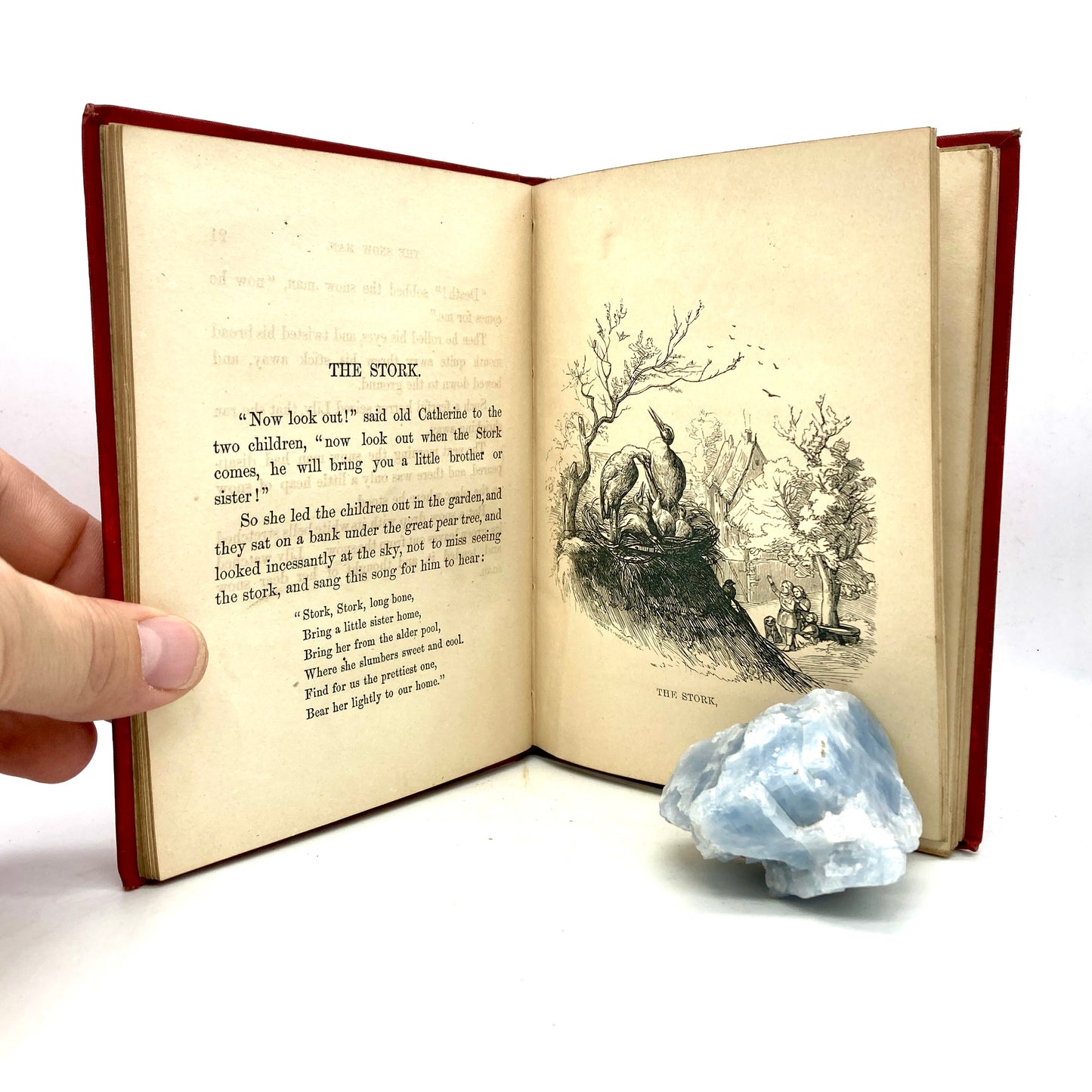KEIL, George "New Fairy Stories For My Grandchildren" [D. Appleton & Co, 1869] - Buzz Bookstore
