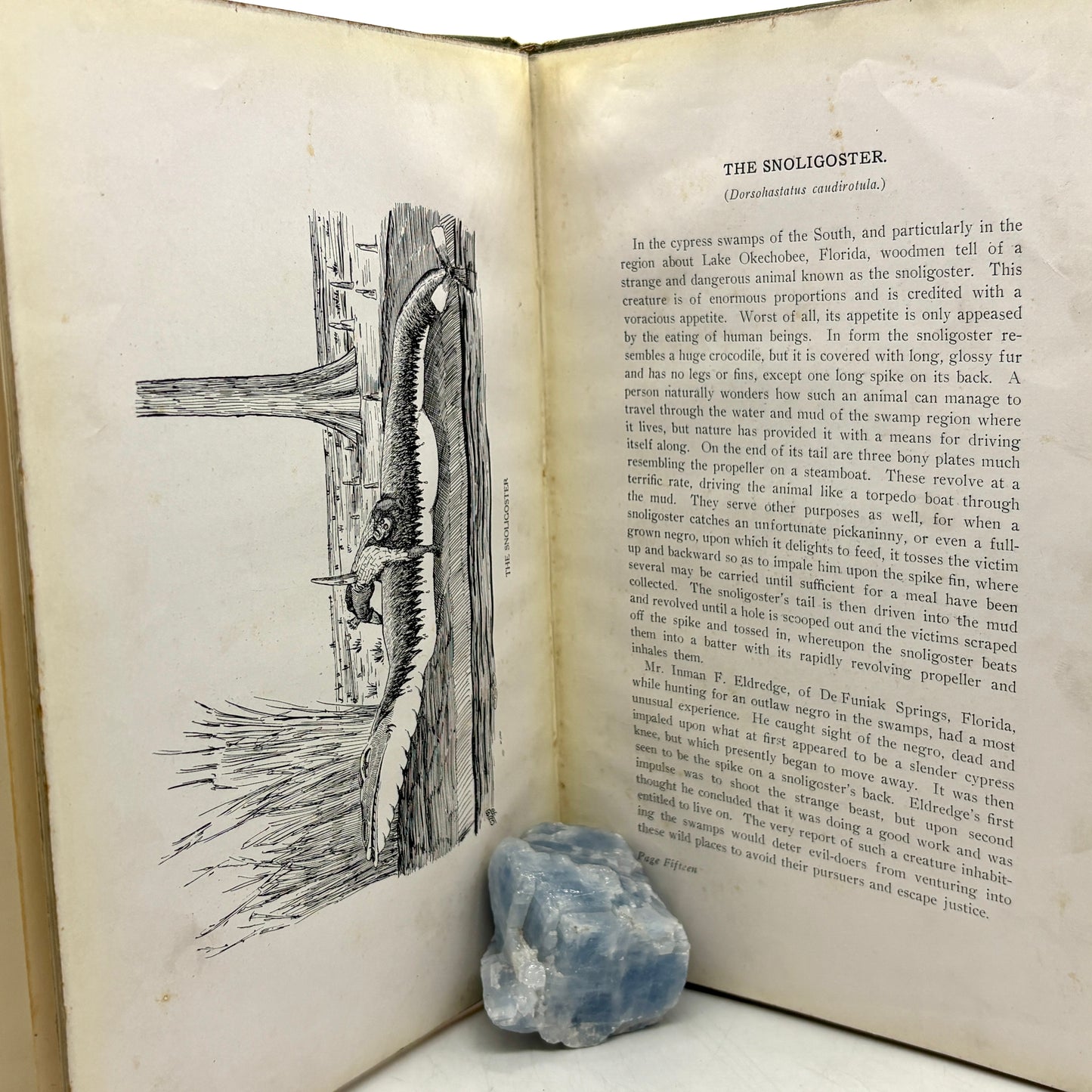 Cox, William T. "Fearsome Creatures of the Lumberwoods" [Judd & Detweiler, 1910] Signed 1st Edition