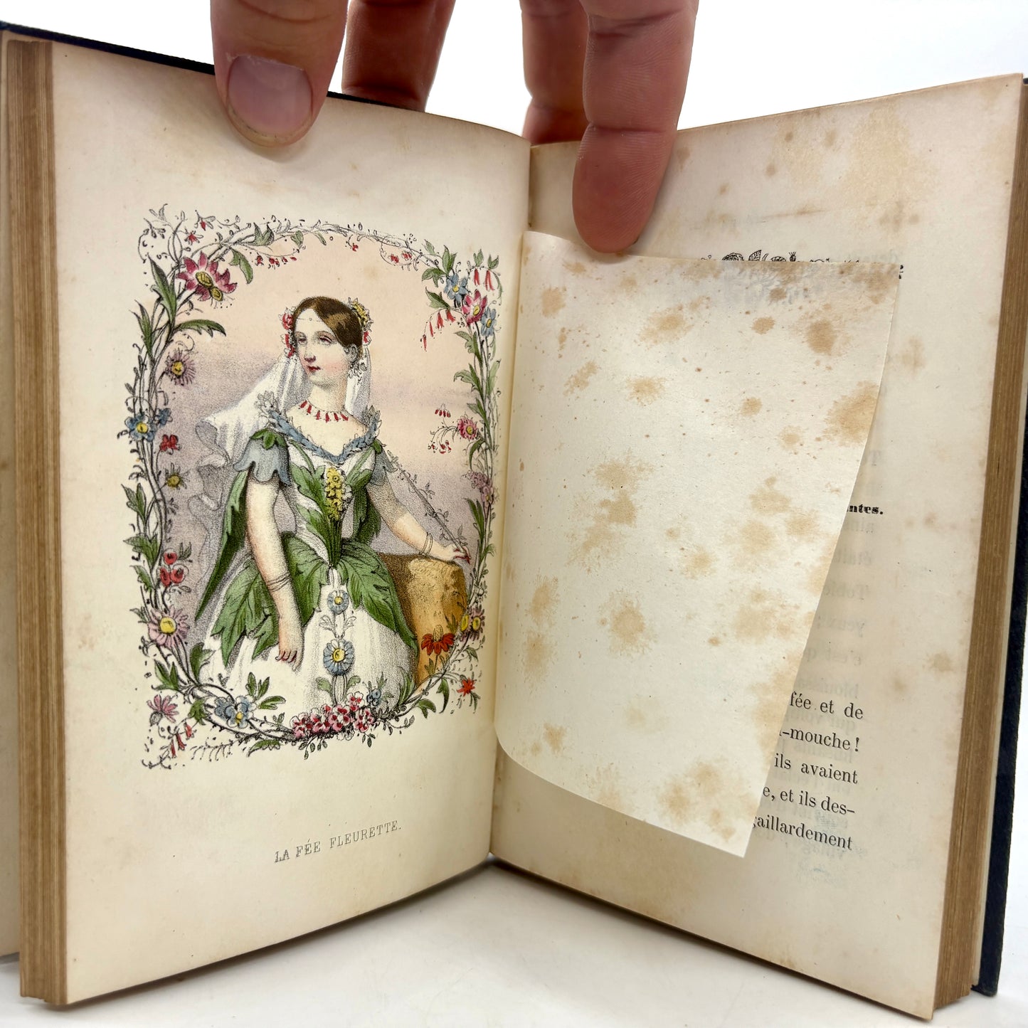 LENEVEUX, Louise "Les Fleurs Parlantes" [Mme Vve Louis Janet, n.d./c1849]