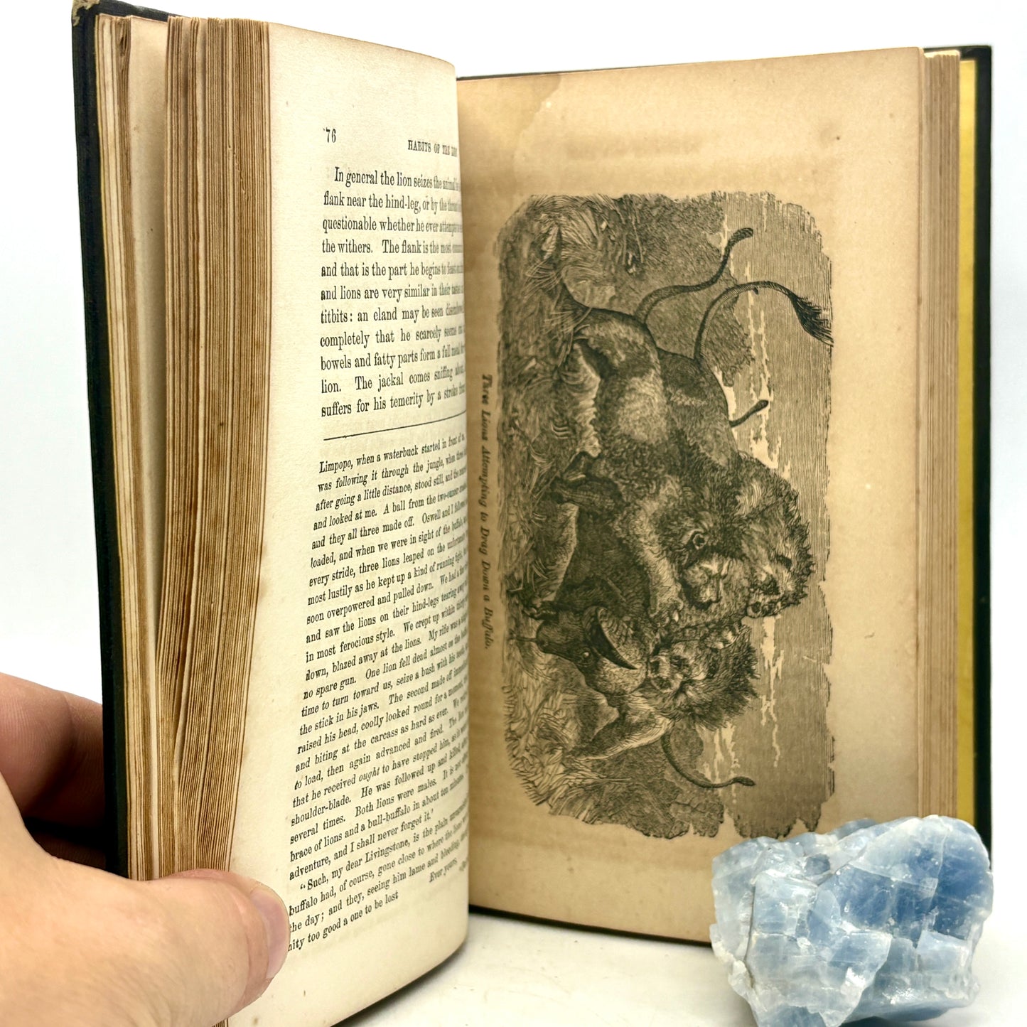 LIVINGSTONE, David "Travels and Researches in South Africa" [Bradley, 1860]