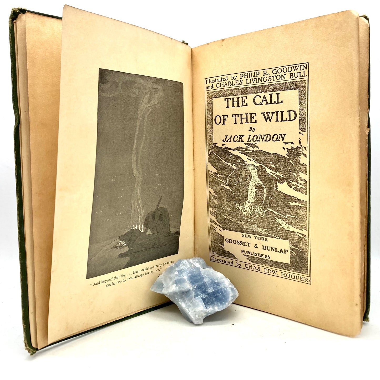 LONDON, Jack "The Call of the Wild" [Grosset & Dunlap, 1906] - Buzz Bookstore