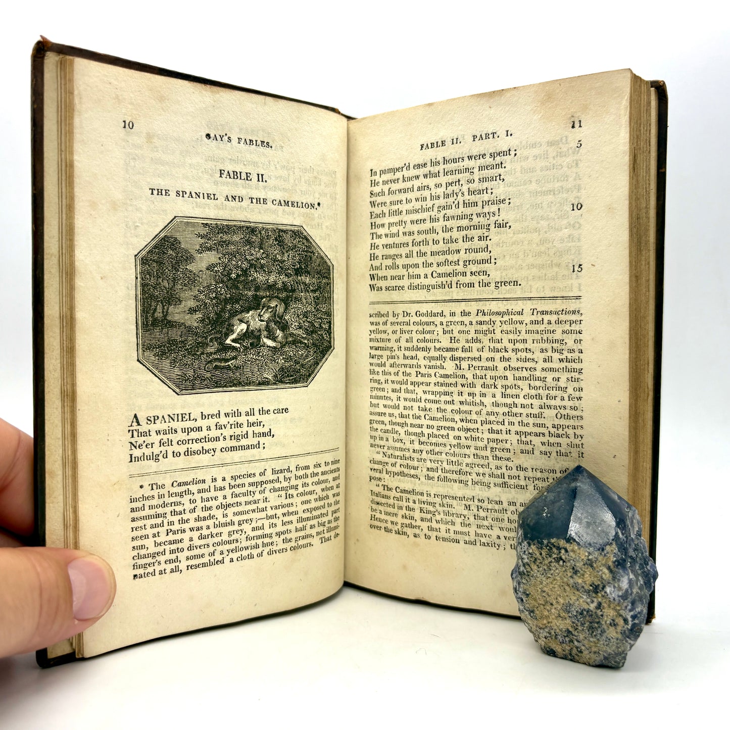 GAY, John "Fables" [Vernor, Hood, and Sharpe, 1810] Illustrated