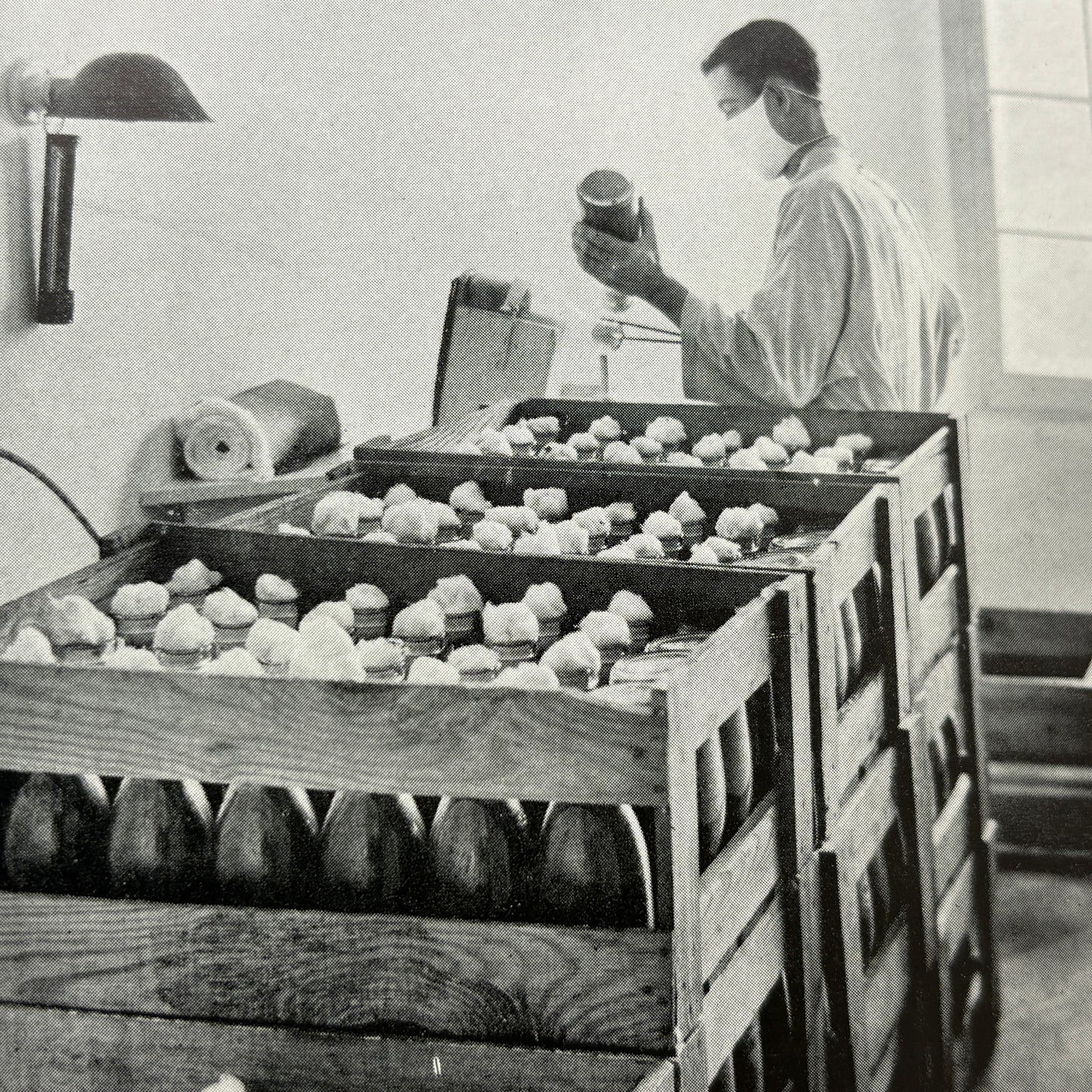STYER, J. Franklin “Modern Mushroom Culture” [Edw. H. Jacob, Inc., 1933]