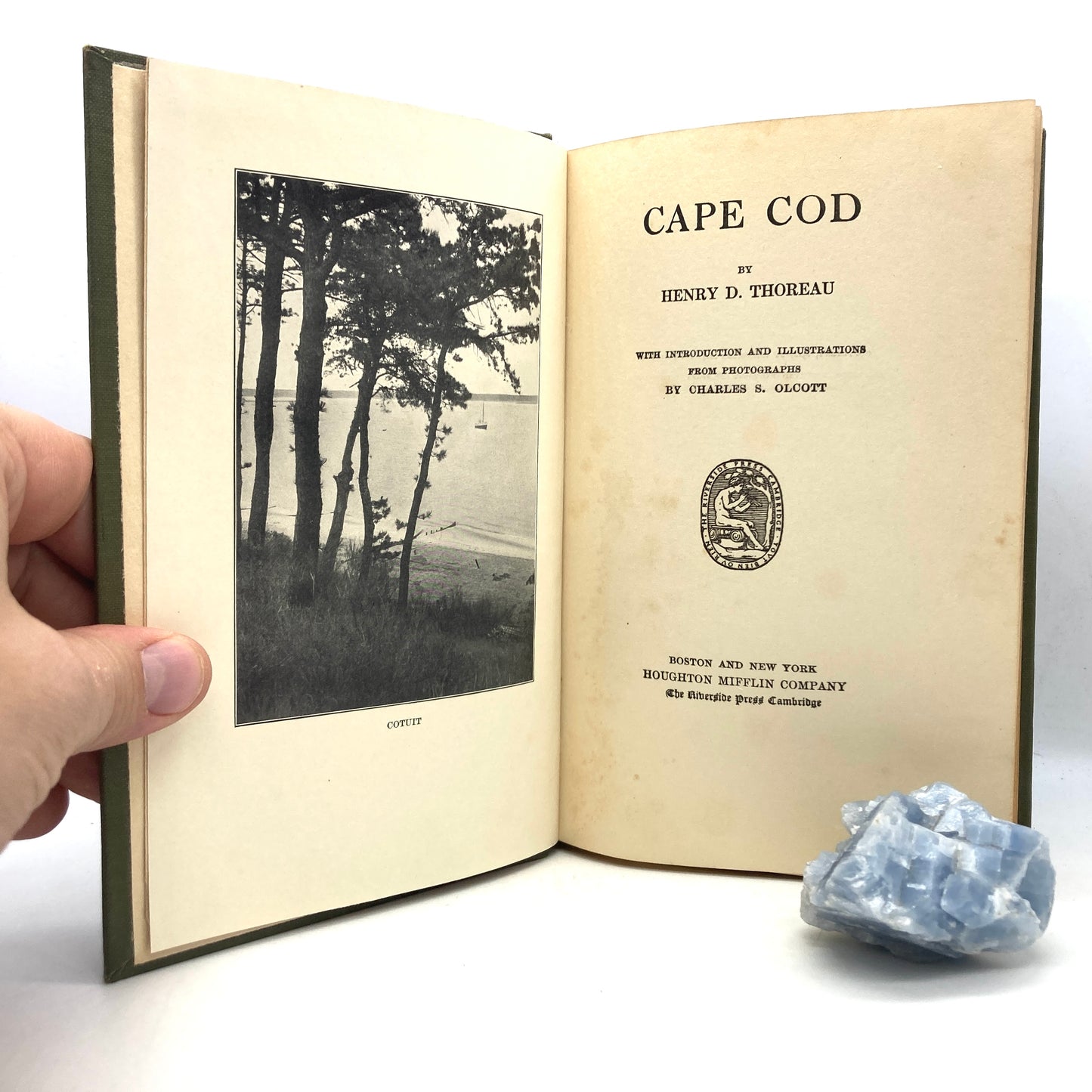 THOREAU, Henry David "Cape Cod" [Houghton Mifflin, 1914] - Buzz Bookstore