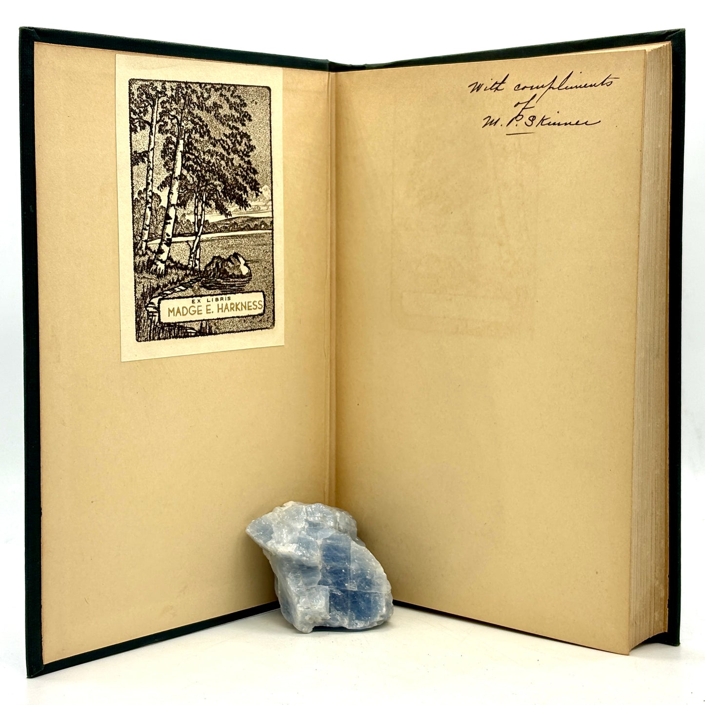SKINNER, M. P. “Bears in the Yellowstone” [A. C. McClurg & Co., 1925] Signed