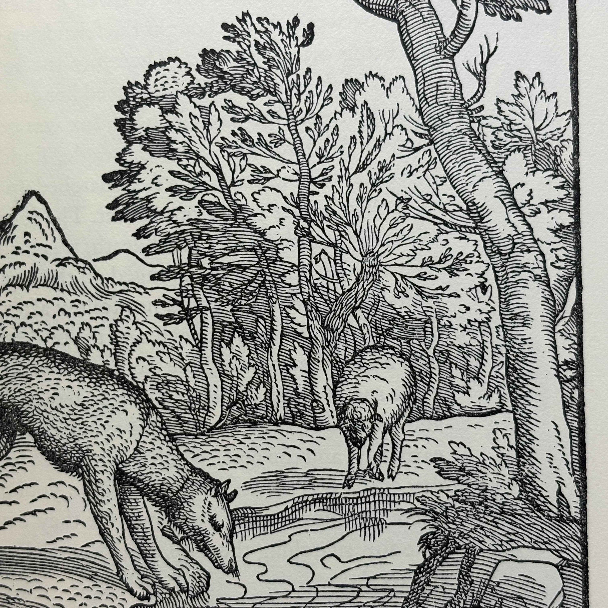 AESOP “Five Centuries of Illustrated Fables” [The Metropolitan Museum of Art, 1964]