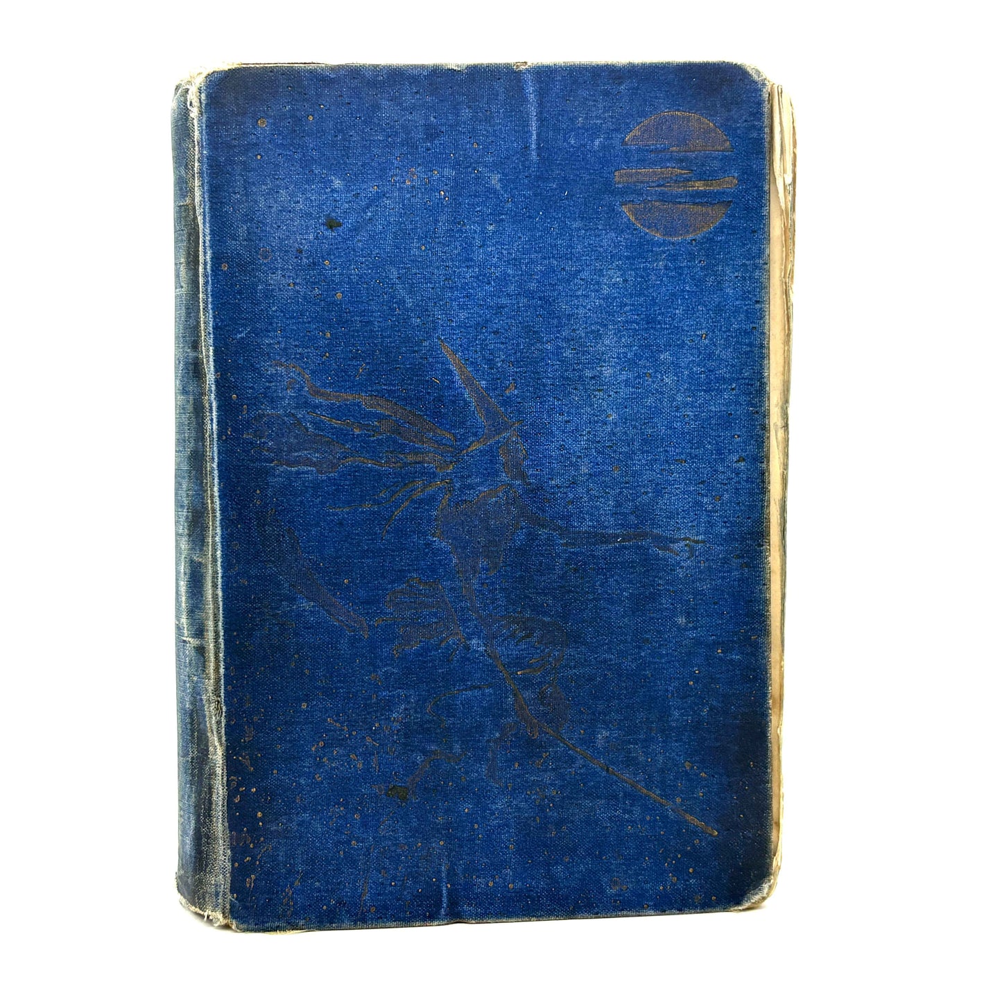 LANG, Andrew "The Blue Fairy Book" [Longmans Green & Co, 1889] 1st Edition